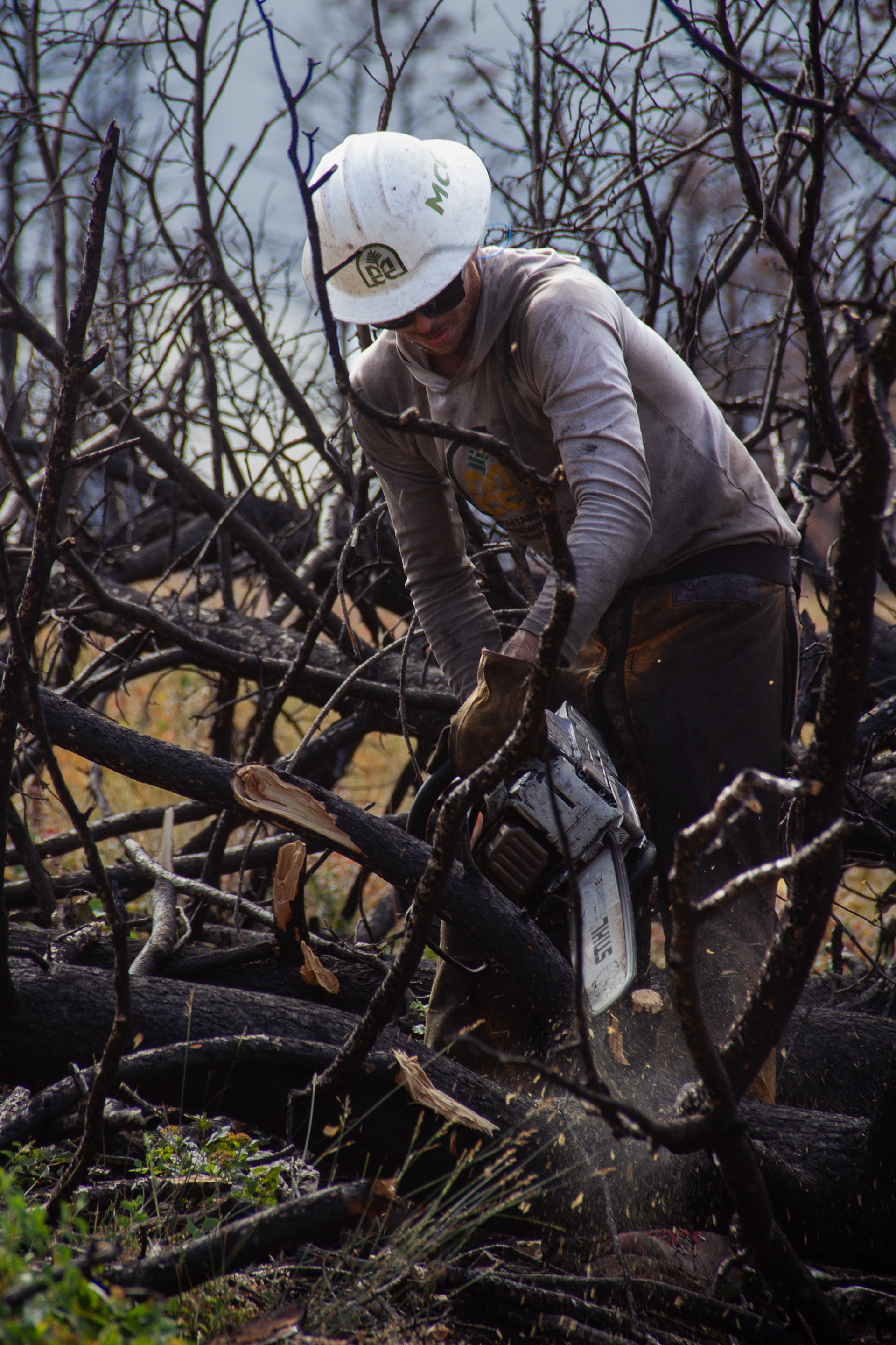 Bighorns, WY, USA, 2025
