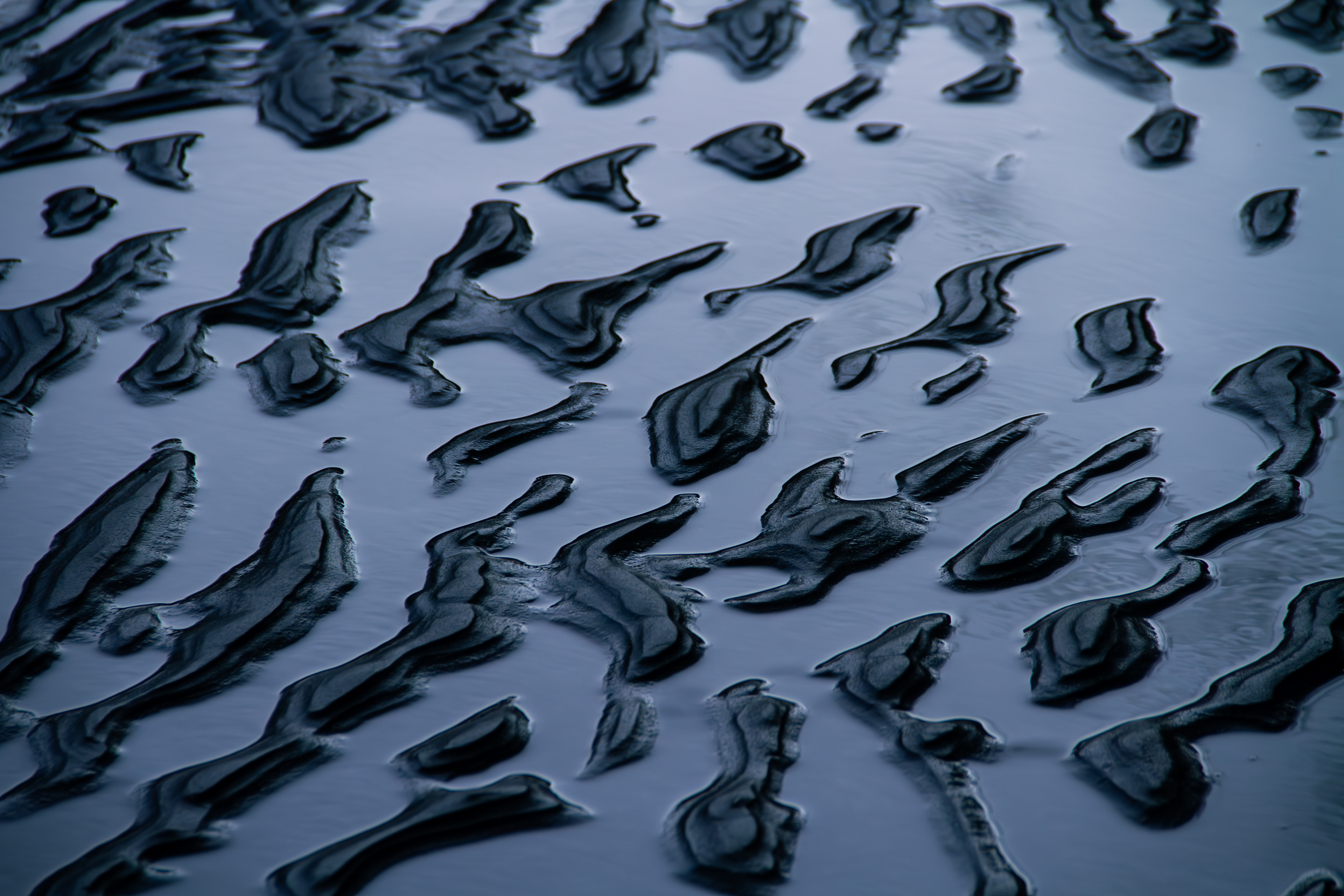 Banks Peninsula, NZ, 2024