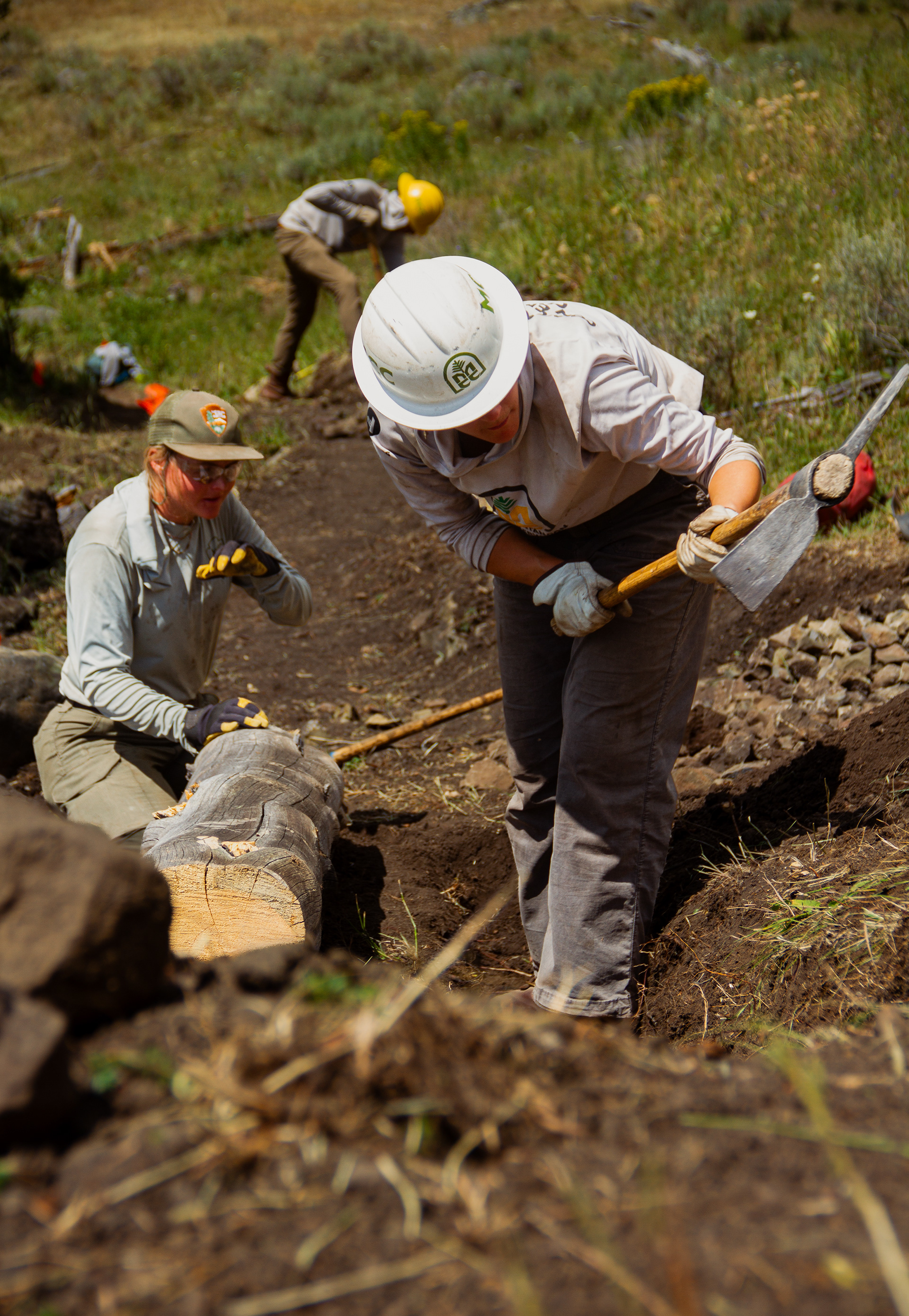 Yellowstone National Park, WY, USA, 2025