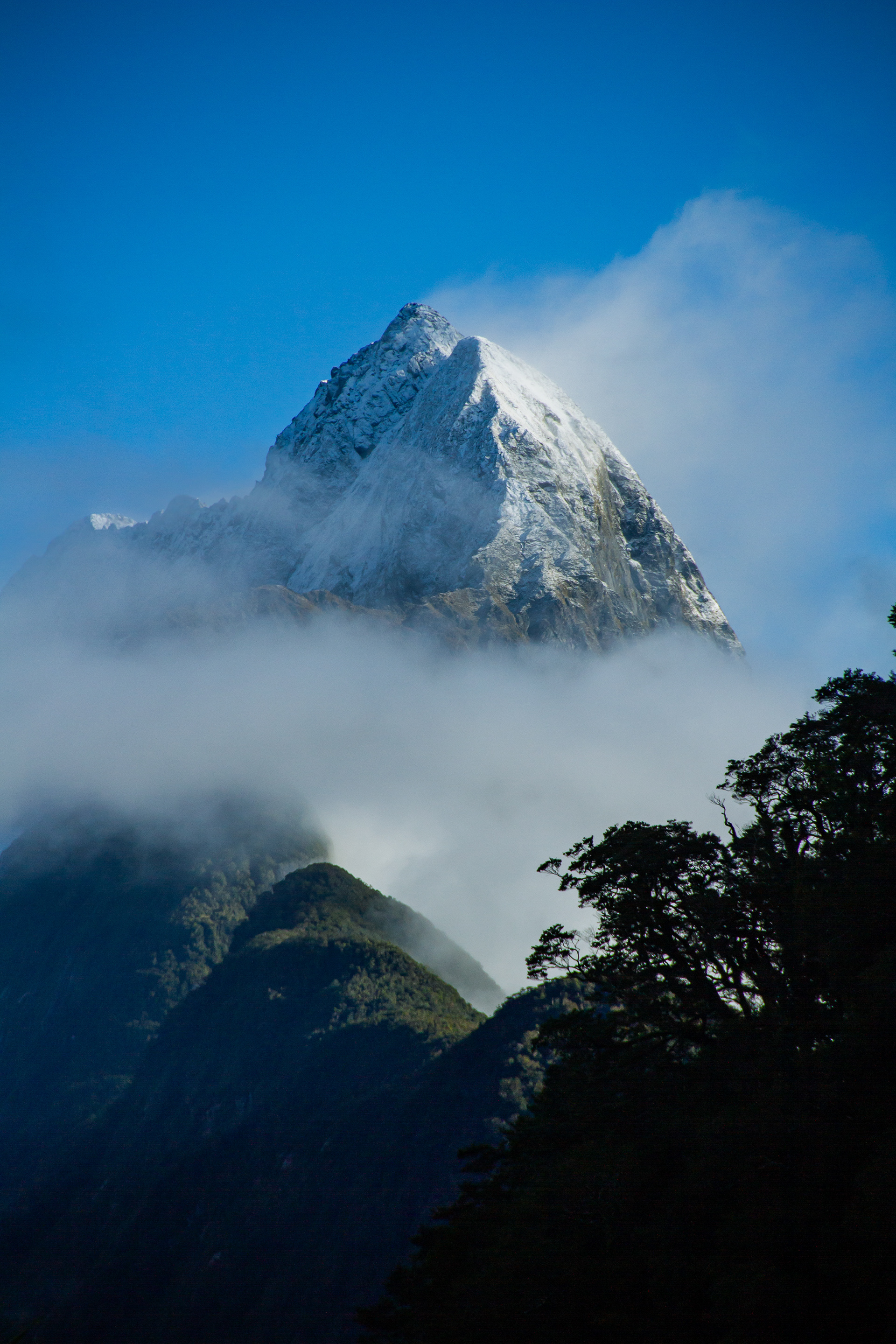 Milford Sound, NZ, 2024