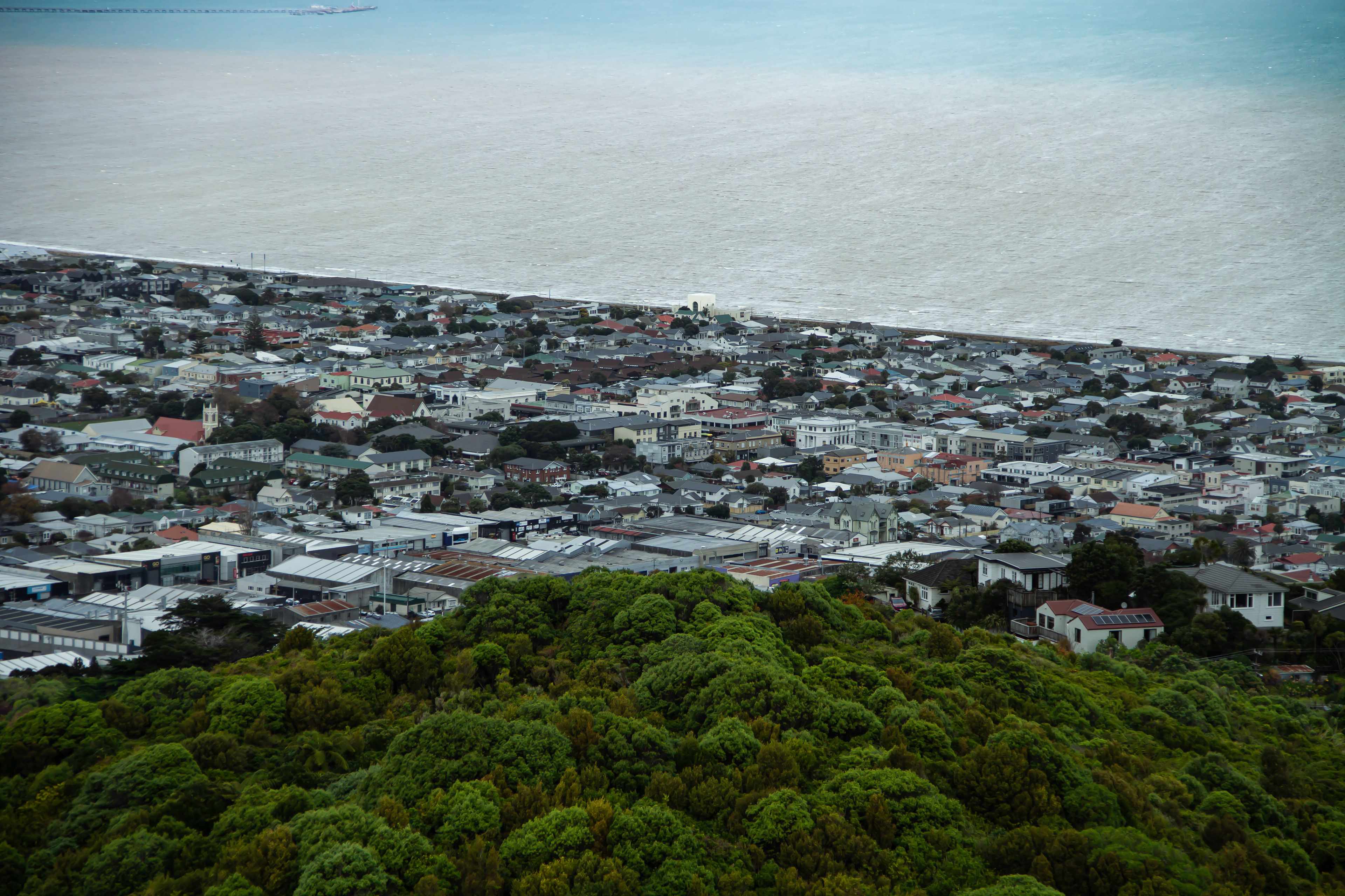 Overpopulation: Wellington, NZ, 2024