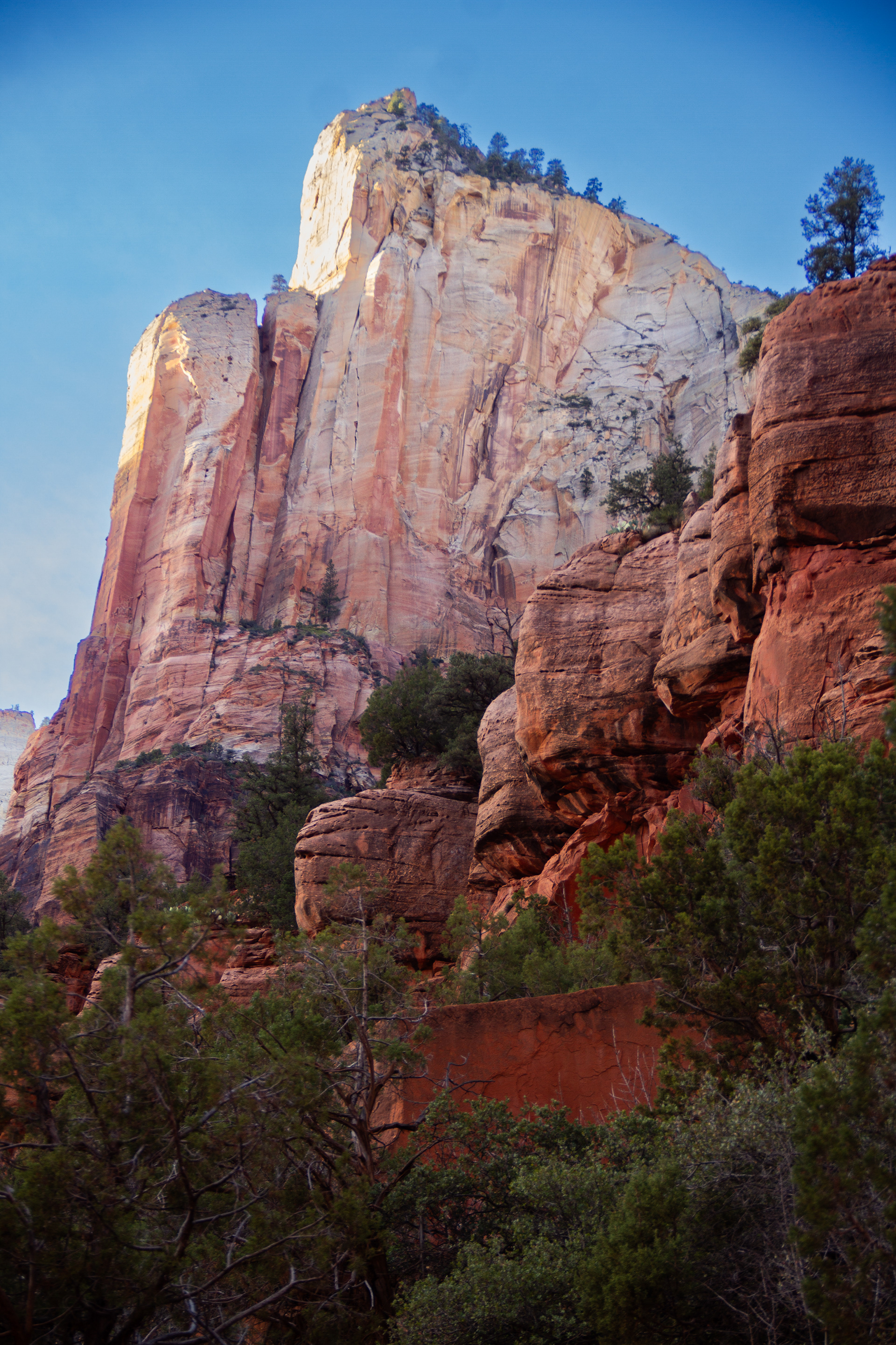Zion National Park, UT, USA, 2025