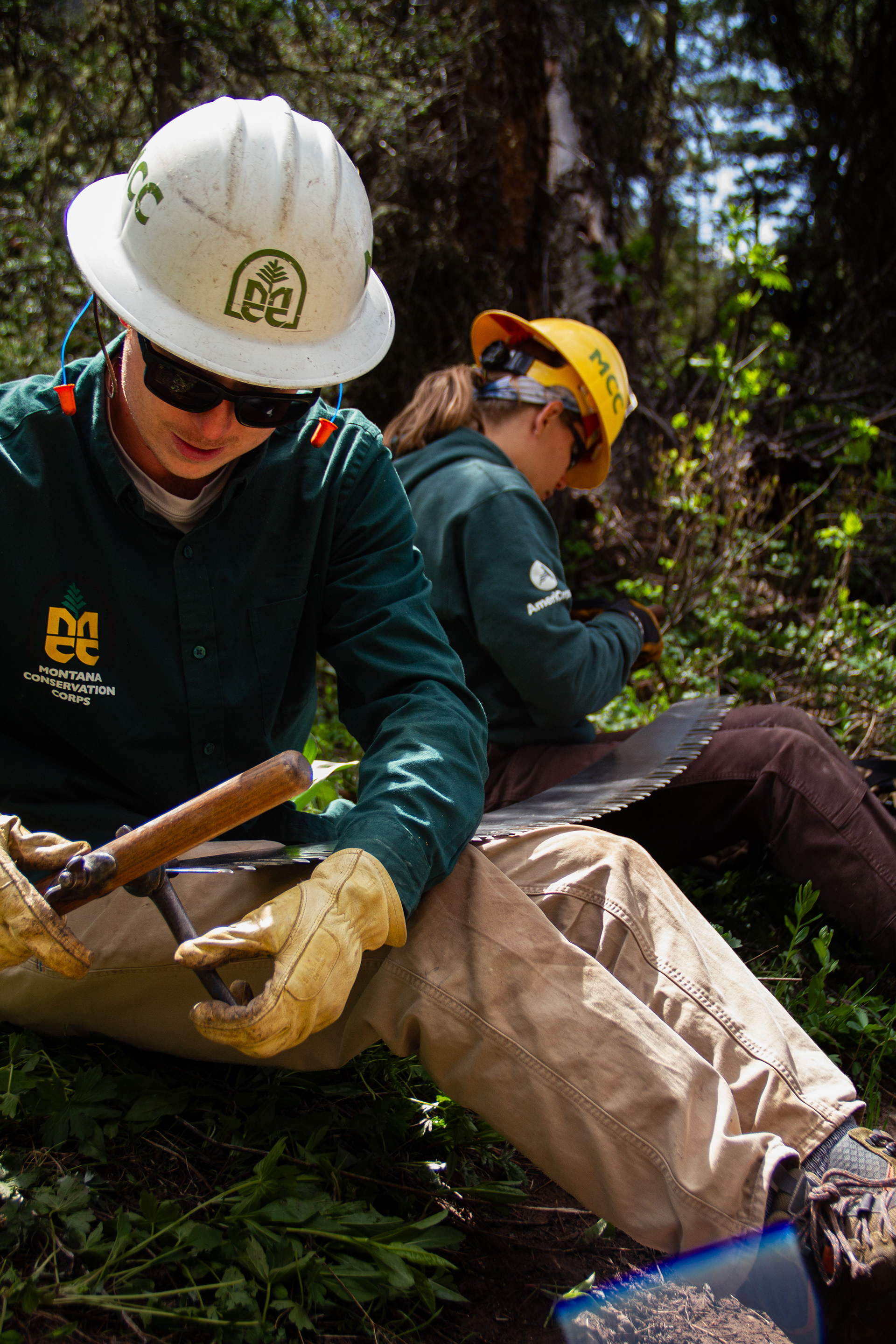 Jackson, WY, USA, 2025