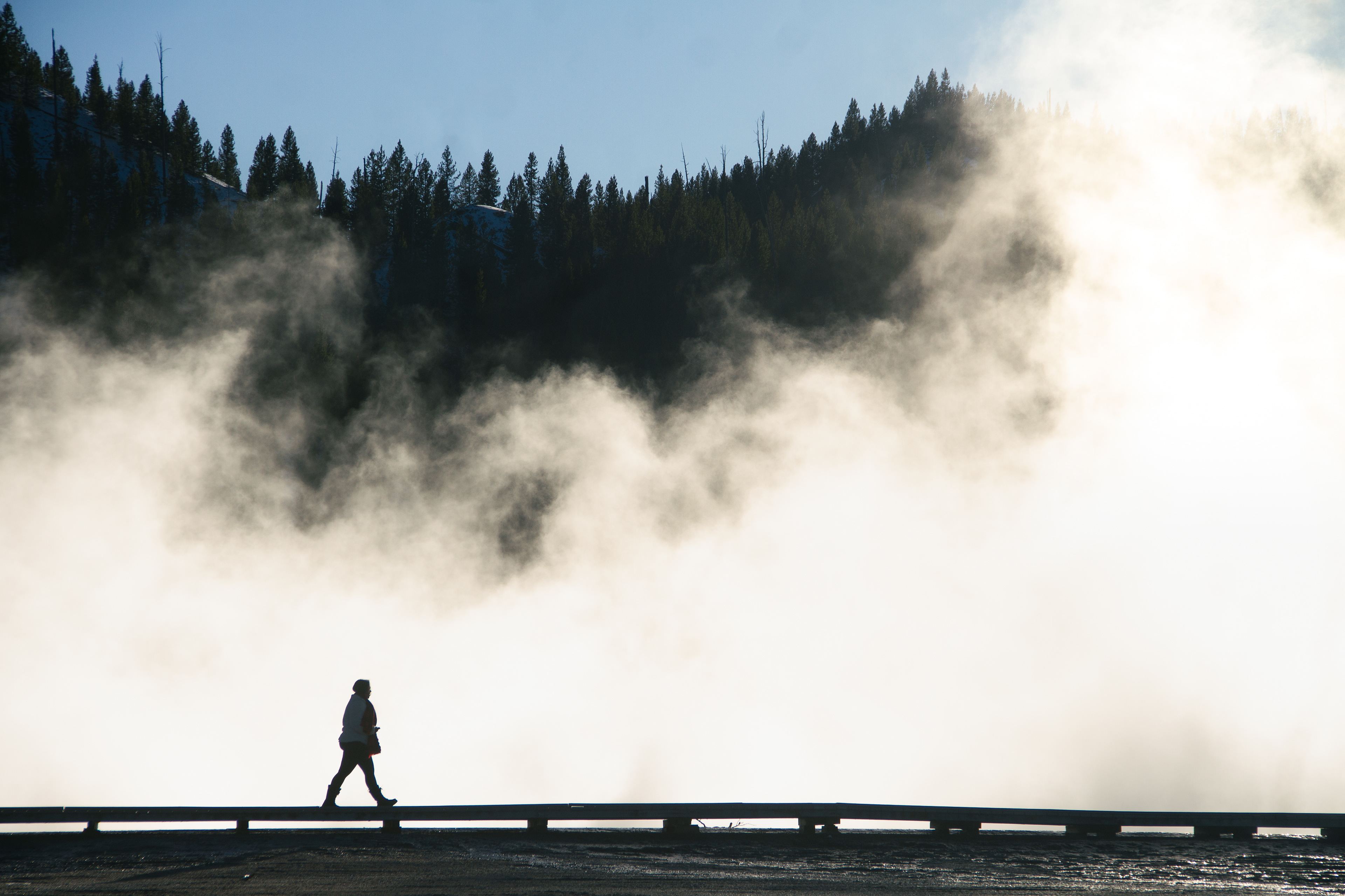 Yellowstone National Park, WY, USA, 2025