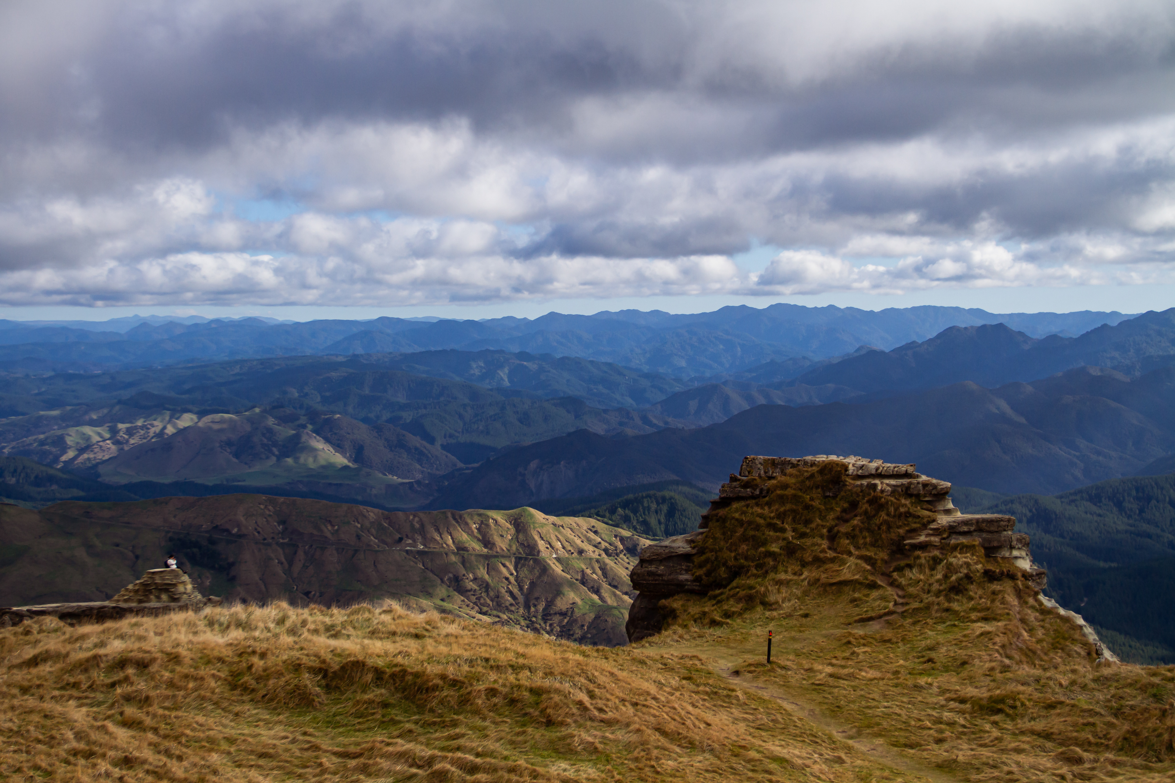 Hawkes Bay, NZ, 2024