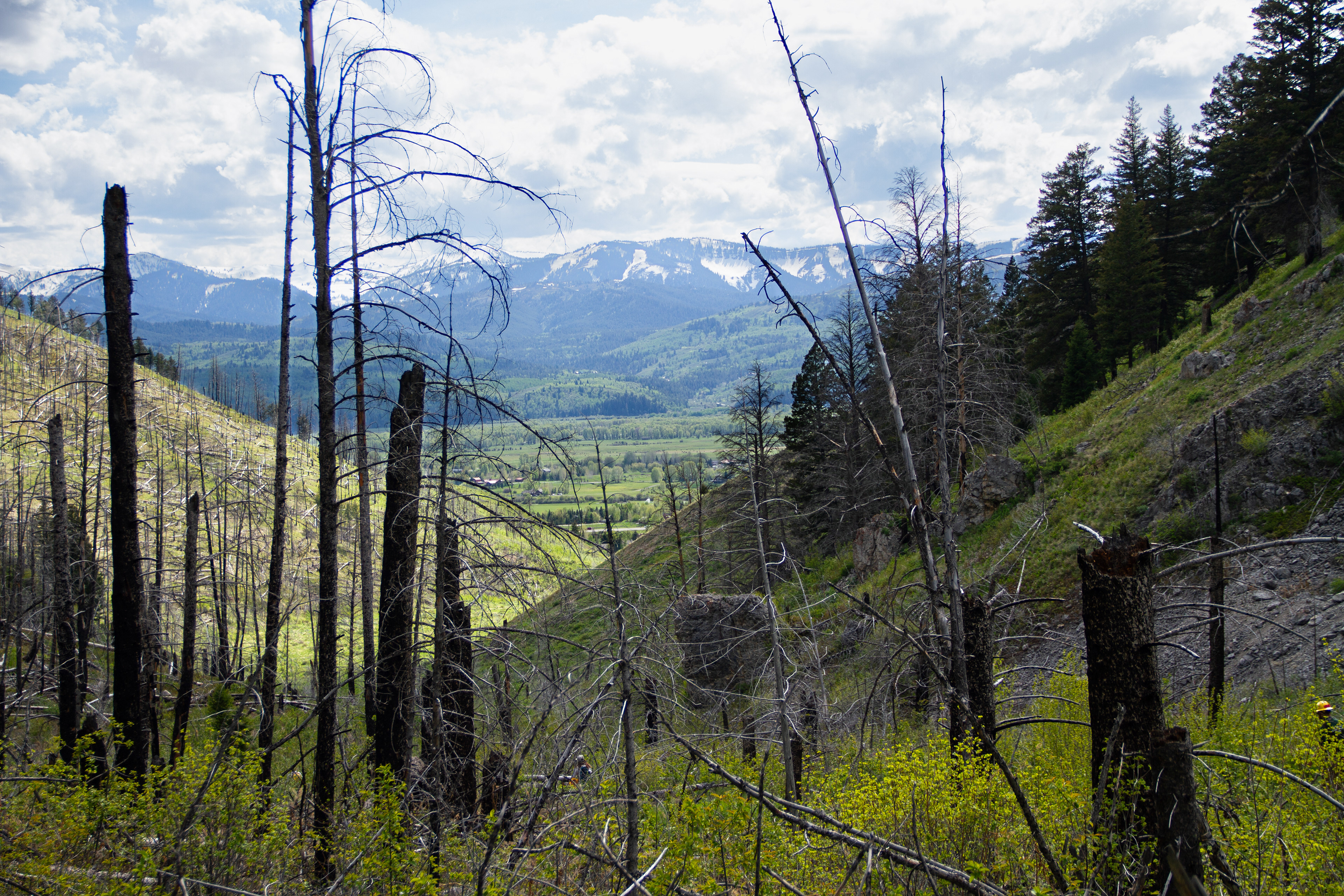 Jackson, WY, USA, 2025