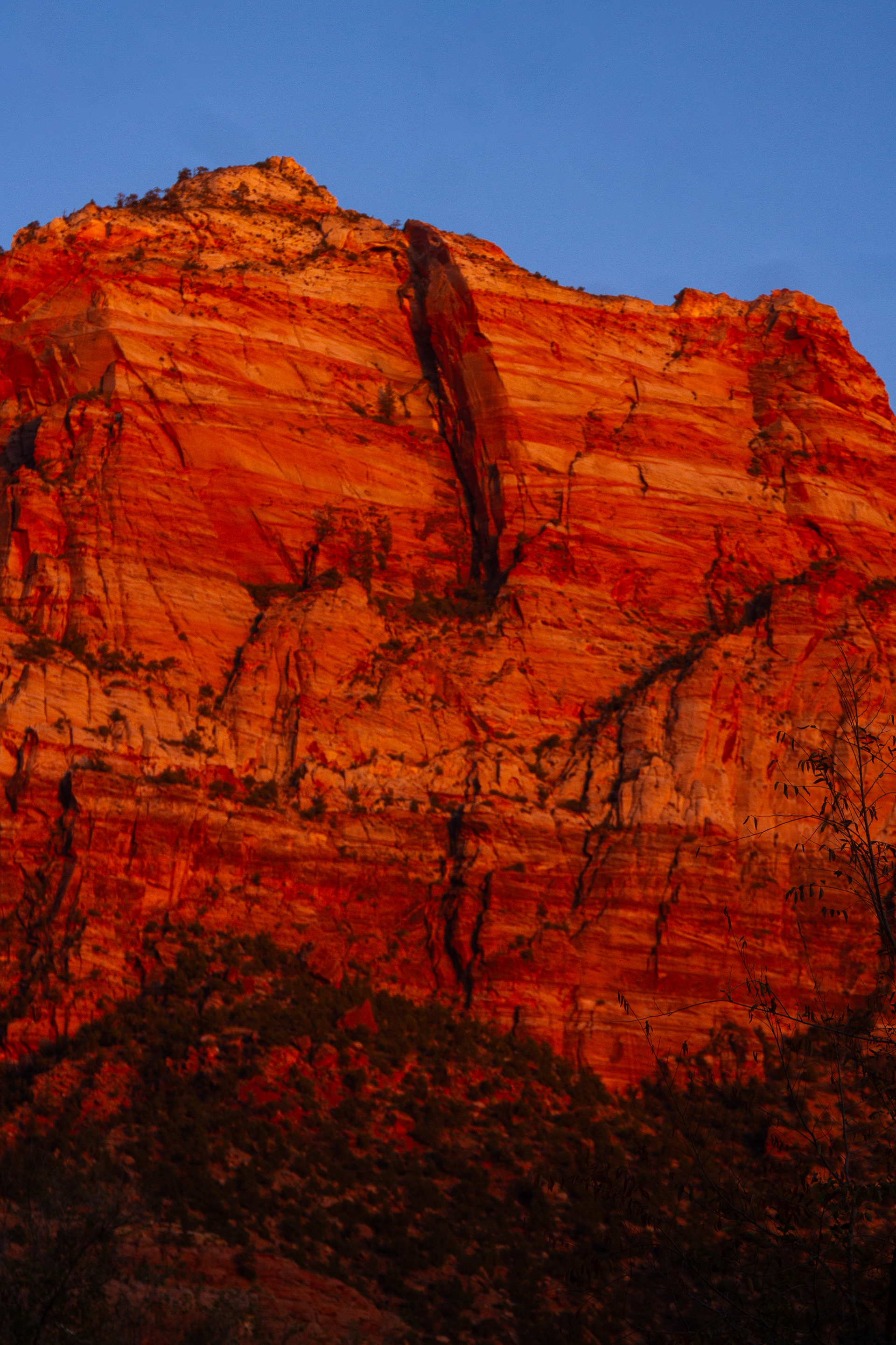 Zion National Park, UT, USA, 2025