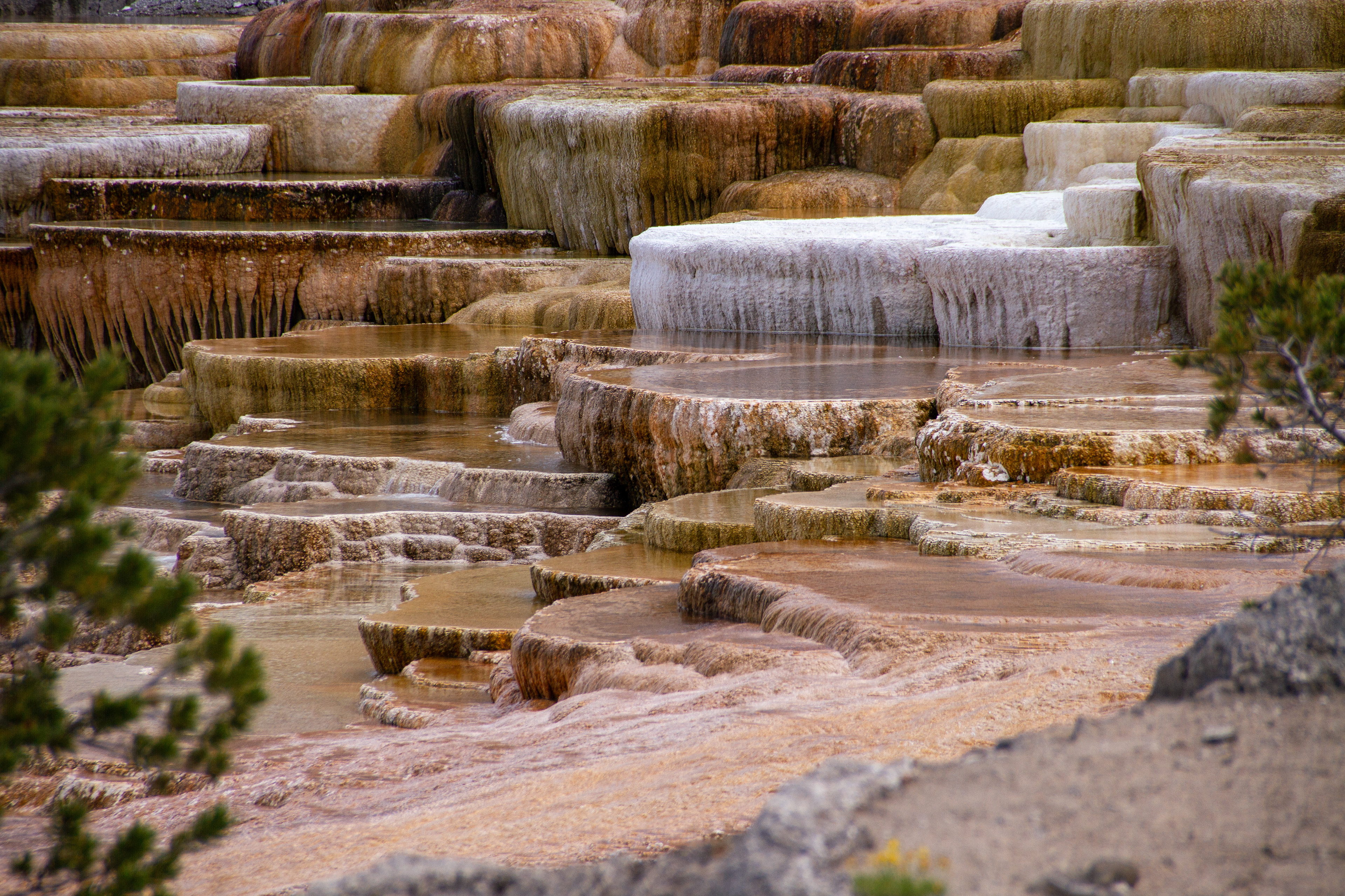 Yellowstone National Park, WY, USA, 2025