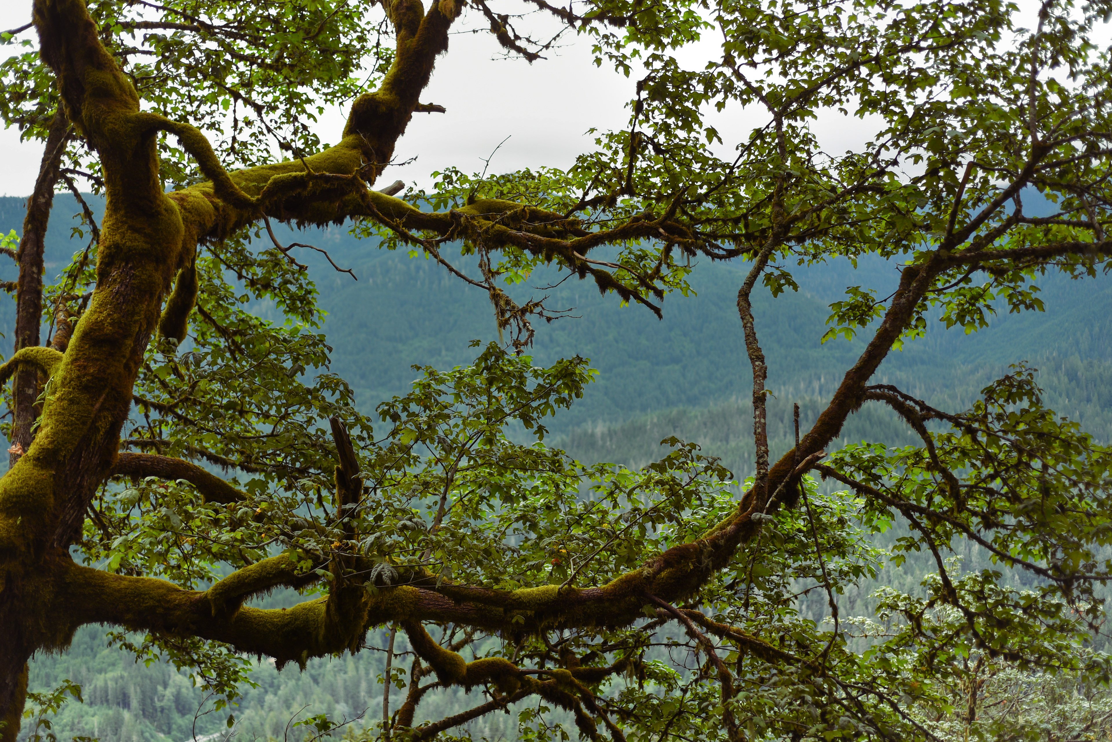 Lake Twenty Two, WA, 2022