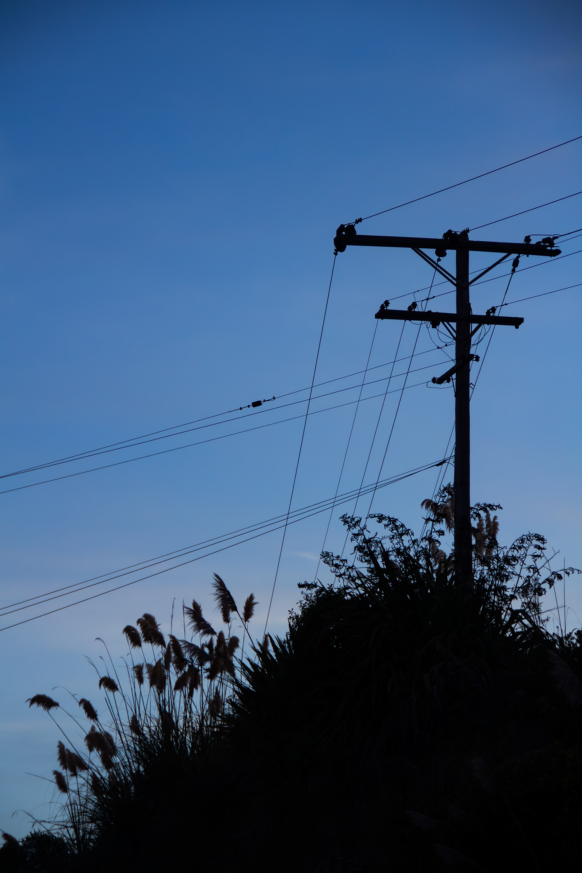 Brighton, Dunedin, NZ, 2024