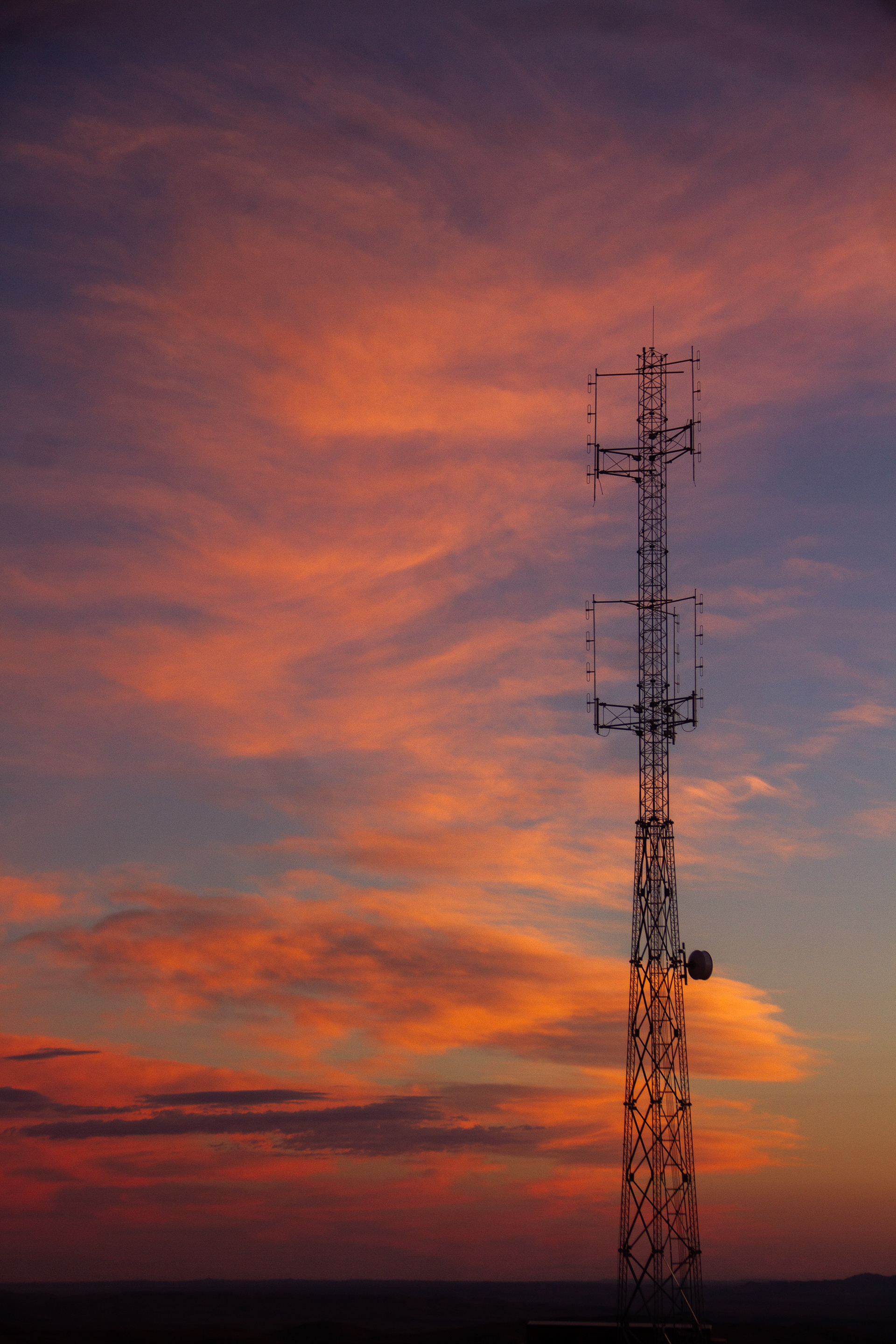Bighorns, WY, USA, 2025