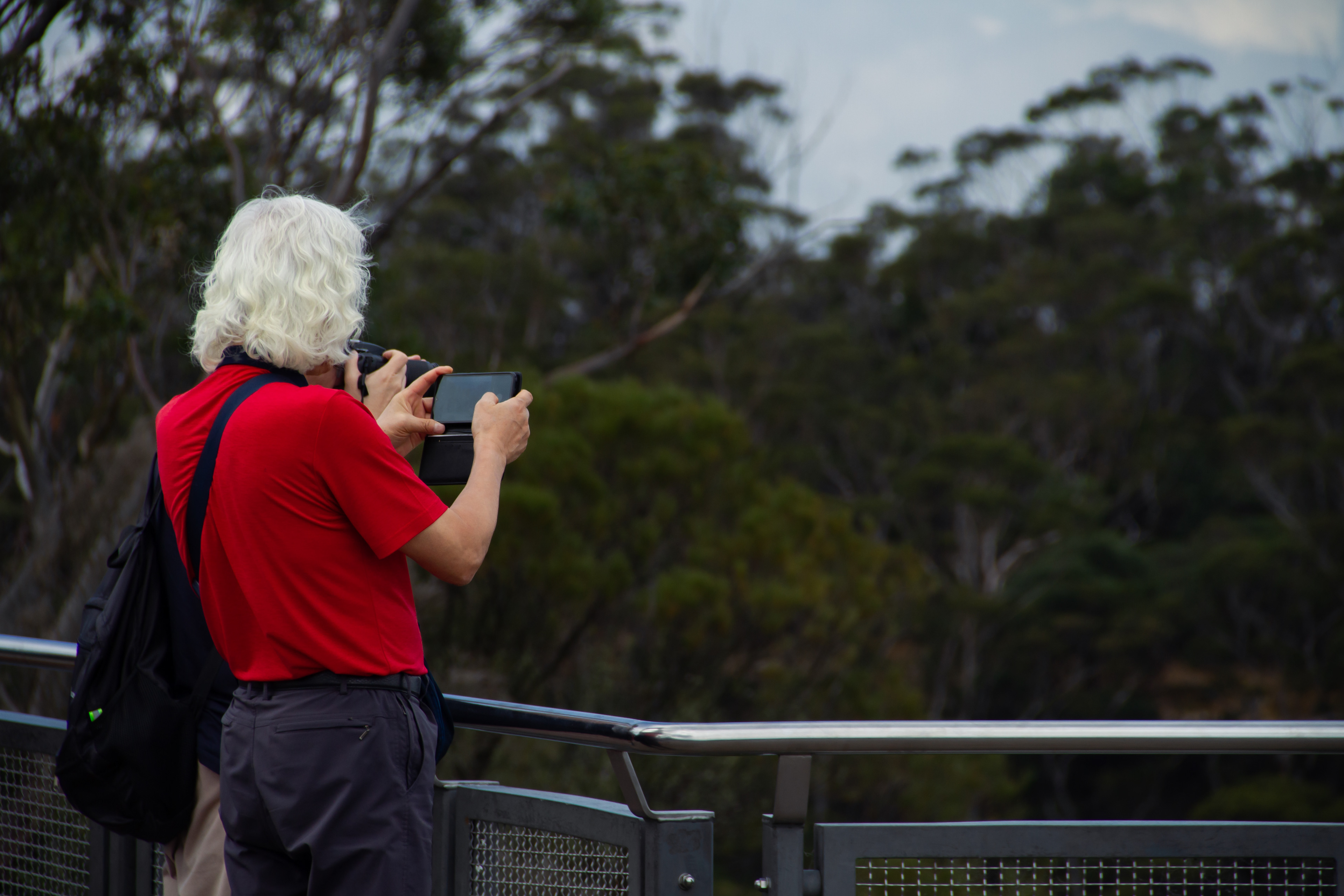 Blue Mountains National Park, AUS, 2024