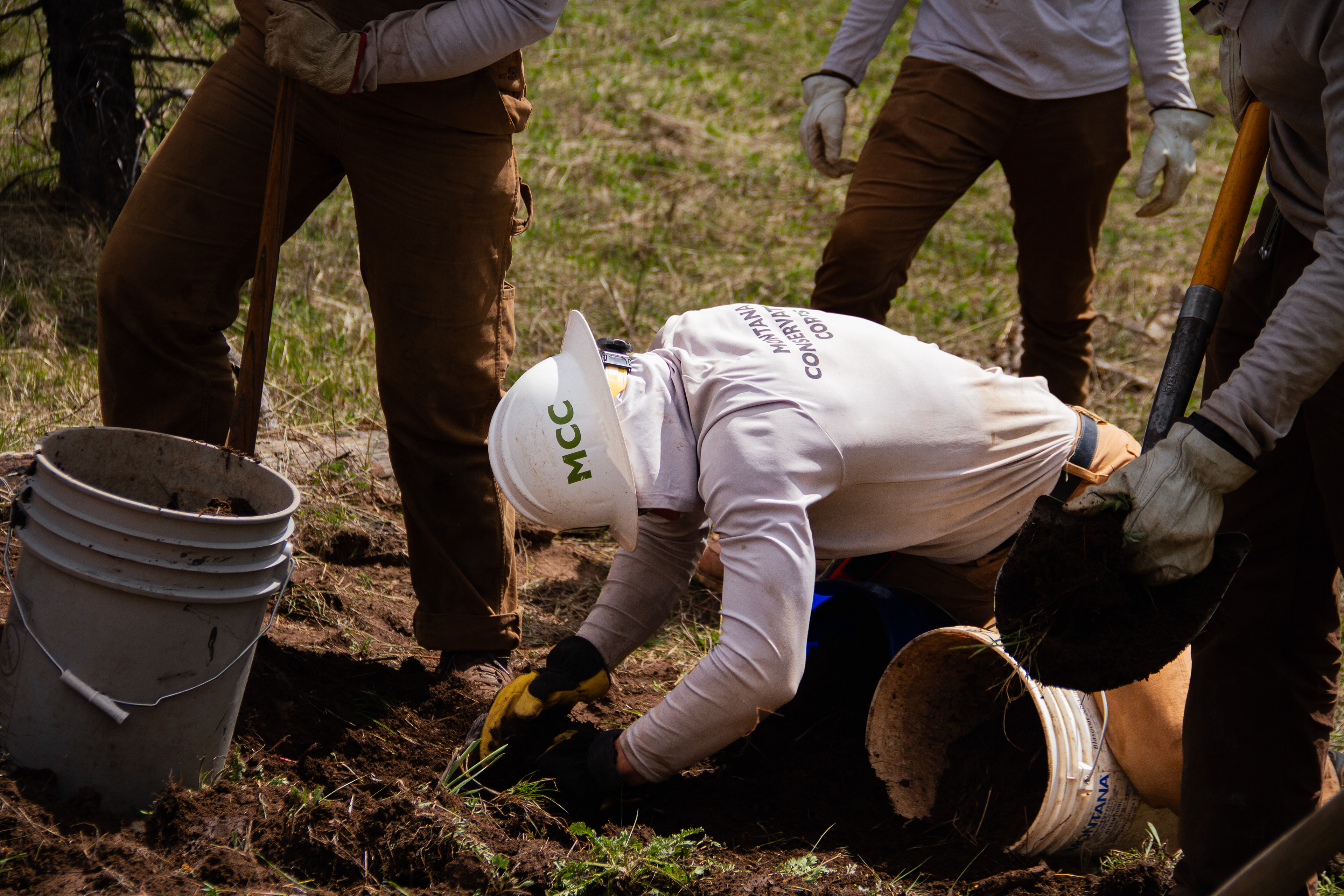 Jackson, WY, USA, 2025