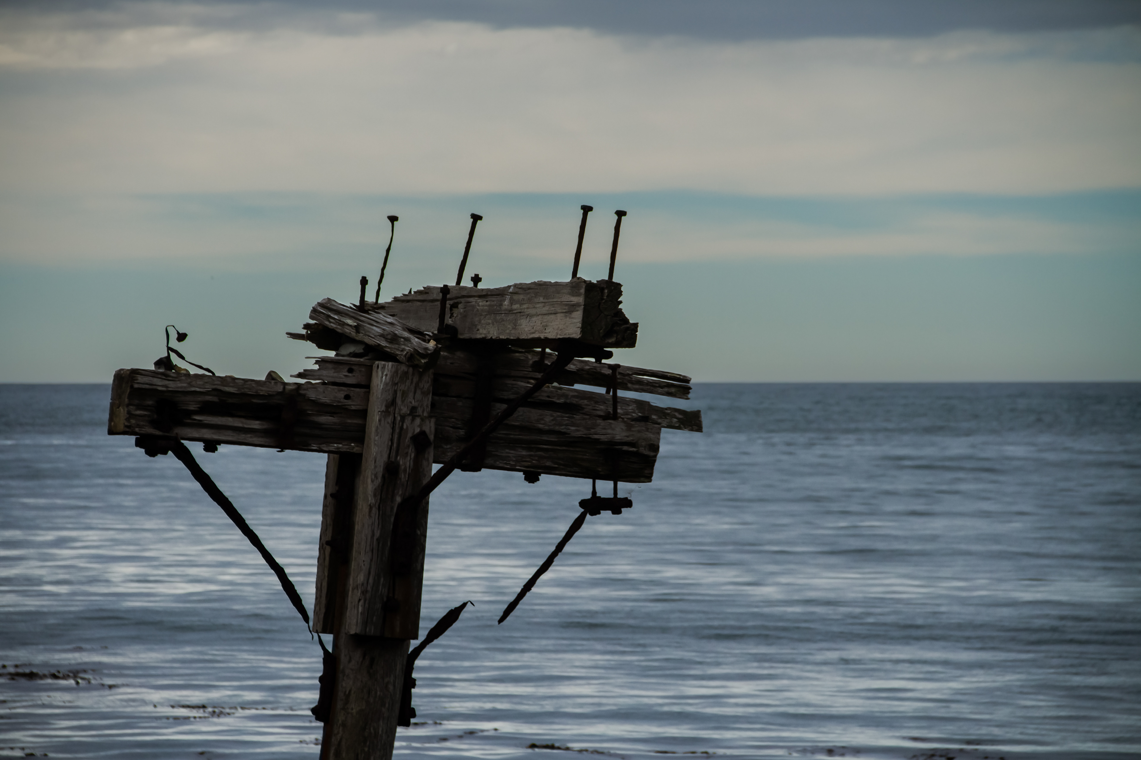 Aramoana, NZ, 2024