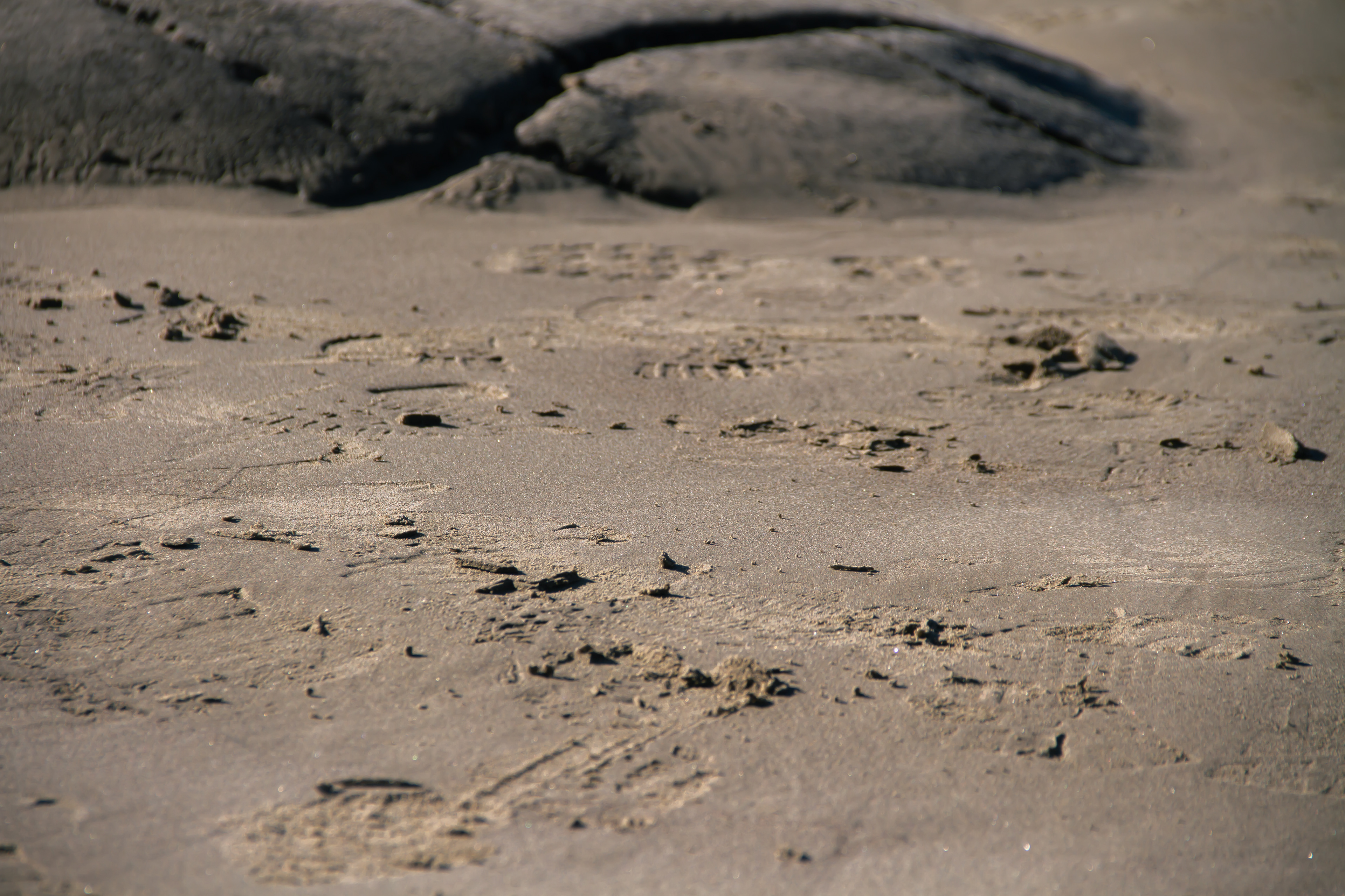 Moeraki Boulders, NZ, 2024