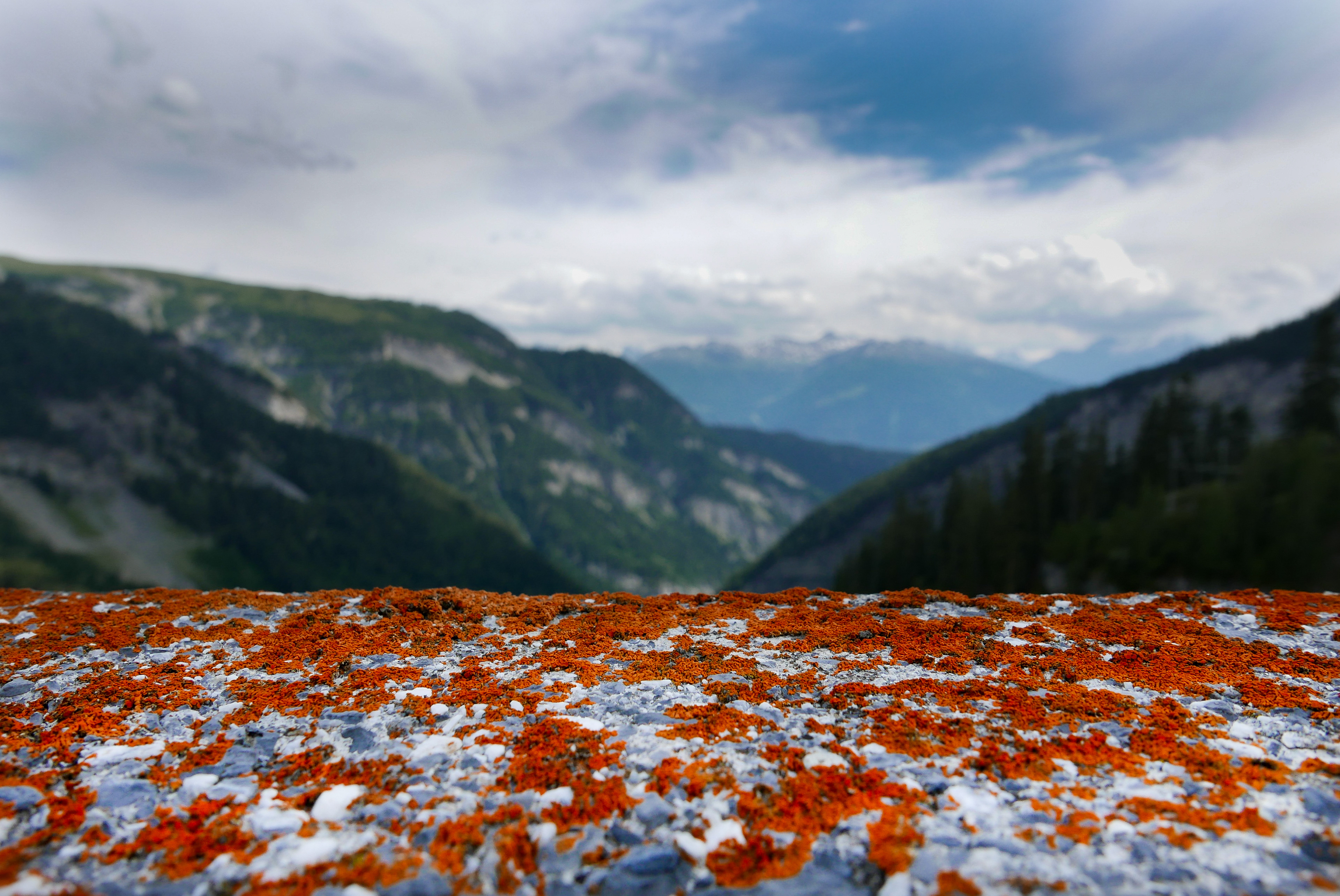Switzerland