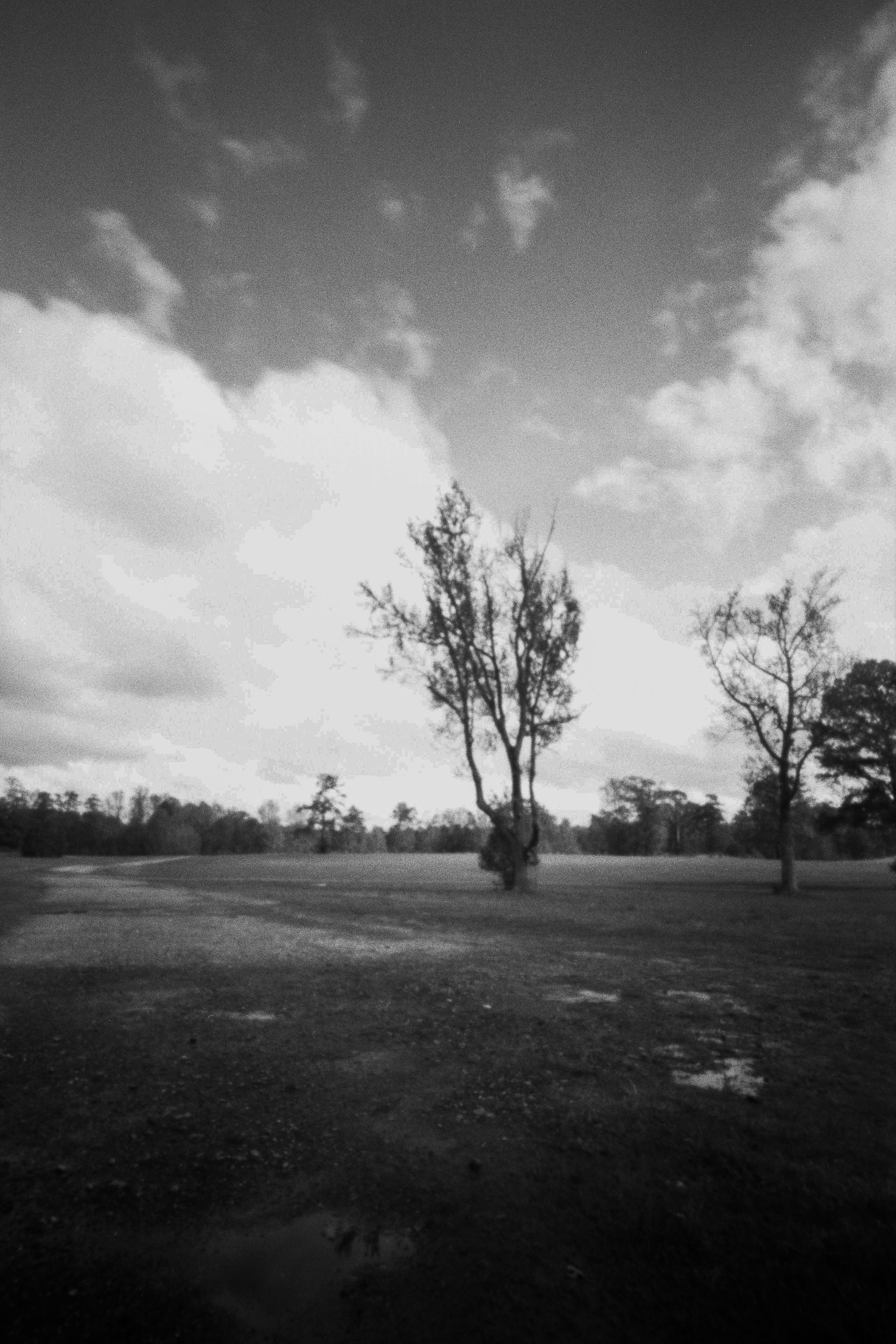 Lament, 2020, Jiabao Sun