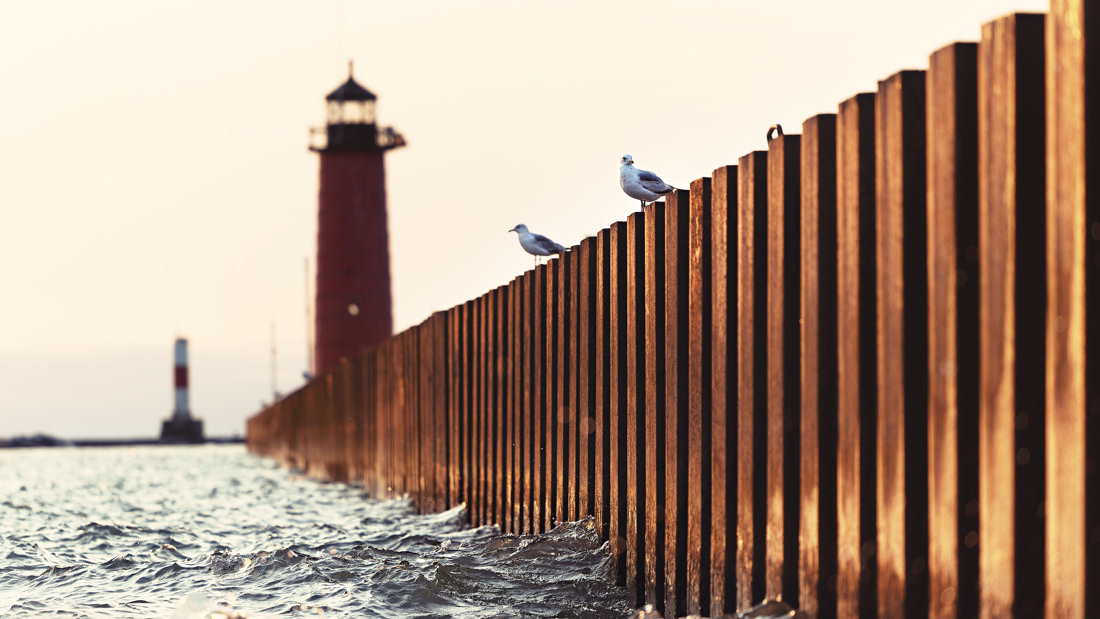 Two seagulls sit perched on a pier with the Kenosha North Pier Lighthouse in the distance.