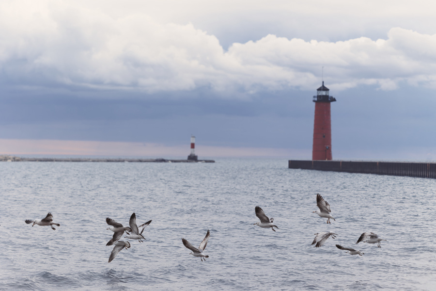 A flock of sea birds flying over Lake Michigan and the iconic red Kenosha Lighthouse on Simmons Island in Kenosha Wisconsin and the Kenosha Lighthouse.