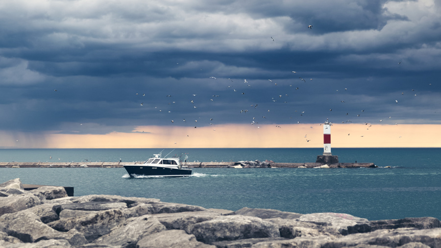 A flock of birds following a boat returning from fishing on Lake Michigan in Kenosha Wisconsin. There is a backdrop of dark storm clouds at sunset.