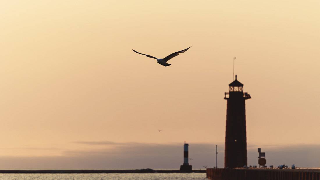 Silhouette of a seagull flying away from the Kenosha Lighthhouse at sunrise.
