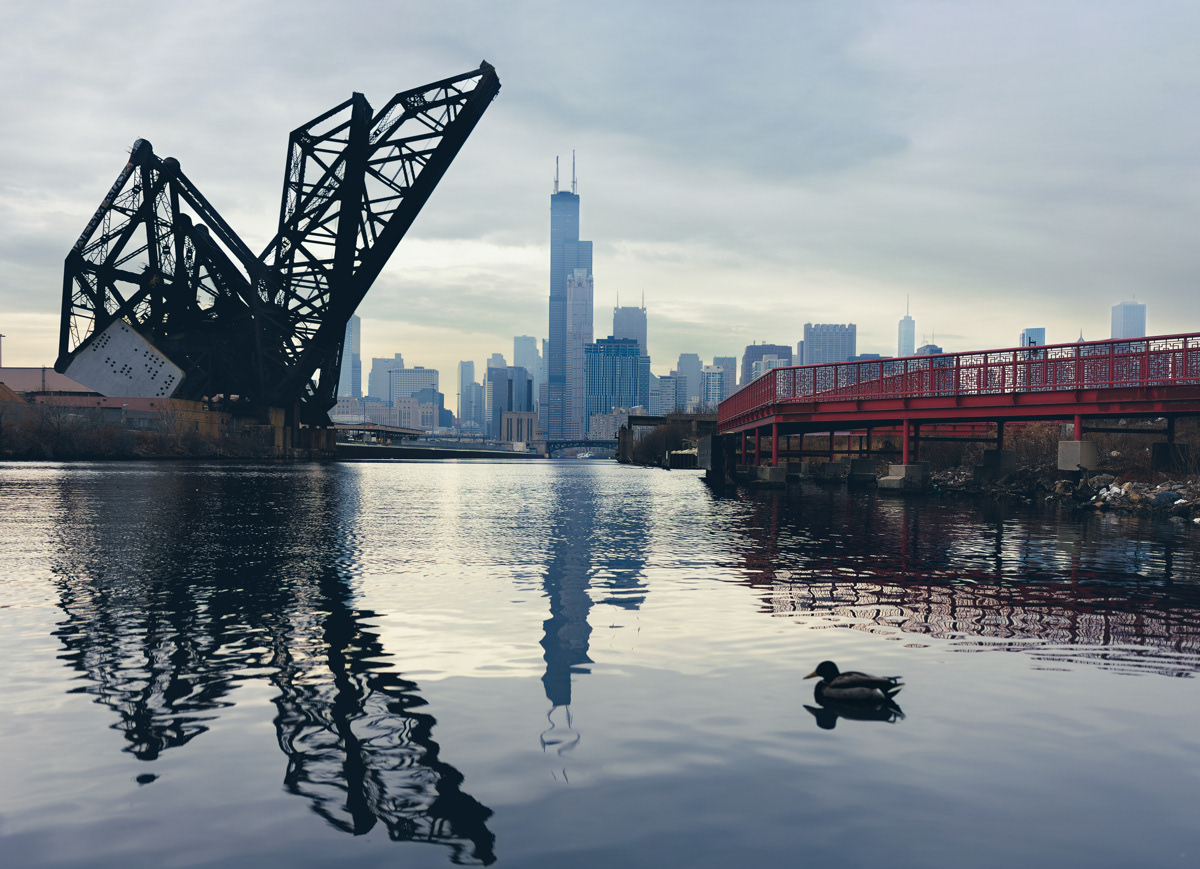 Duck floating in the Chicago River at Ping Tom Park with the St. Charles Airline bridge and Chicago skyline in the background.  The peaceful and serene scene is contrasted by the trash under the bridge.