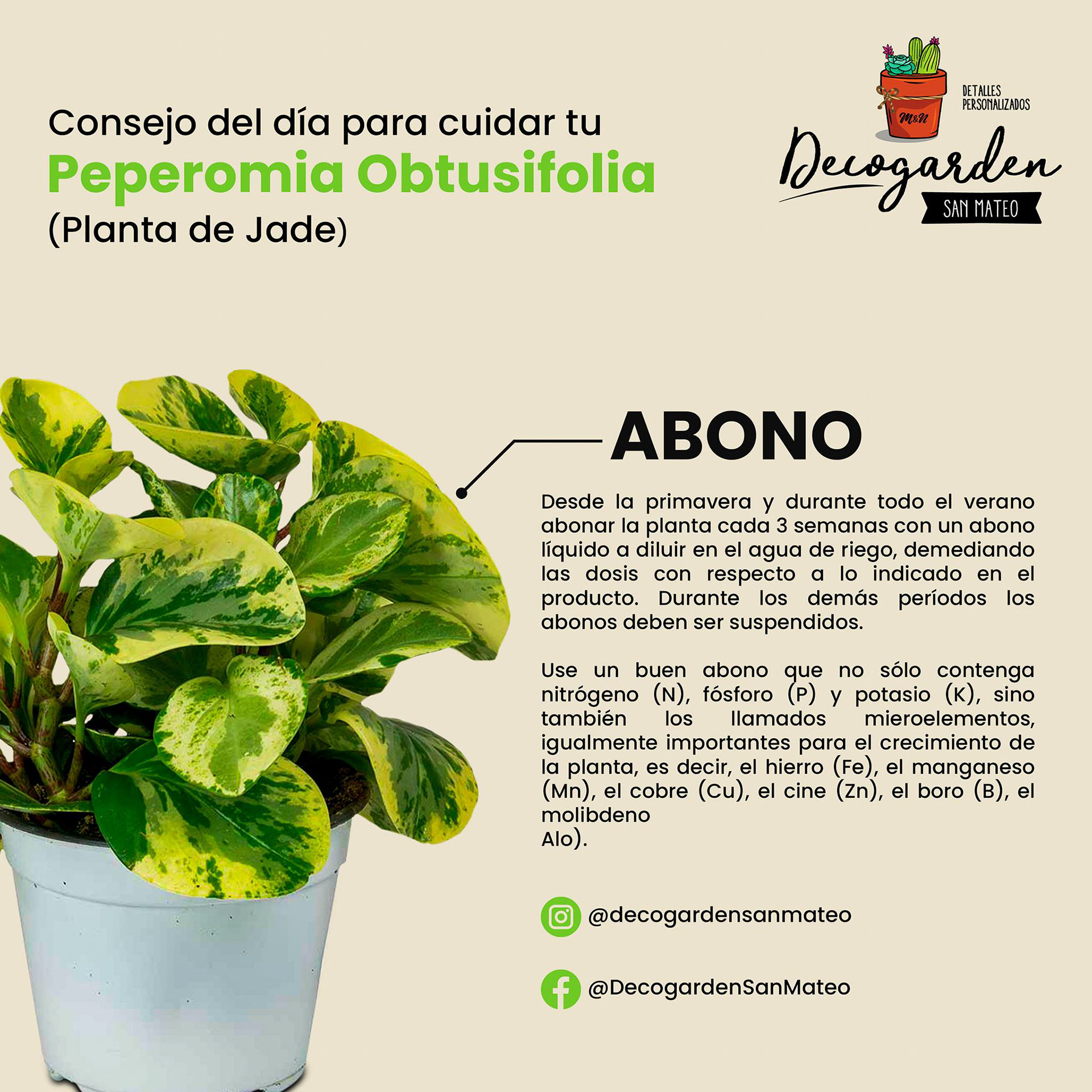 Decogarden San Mateo 2021©