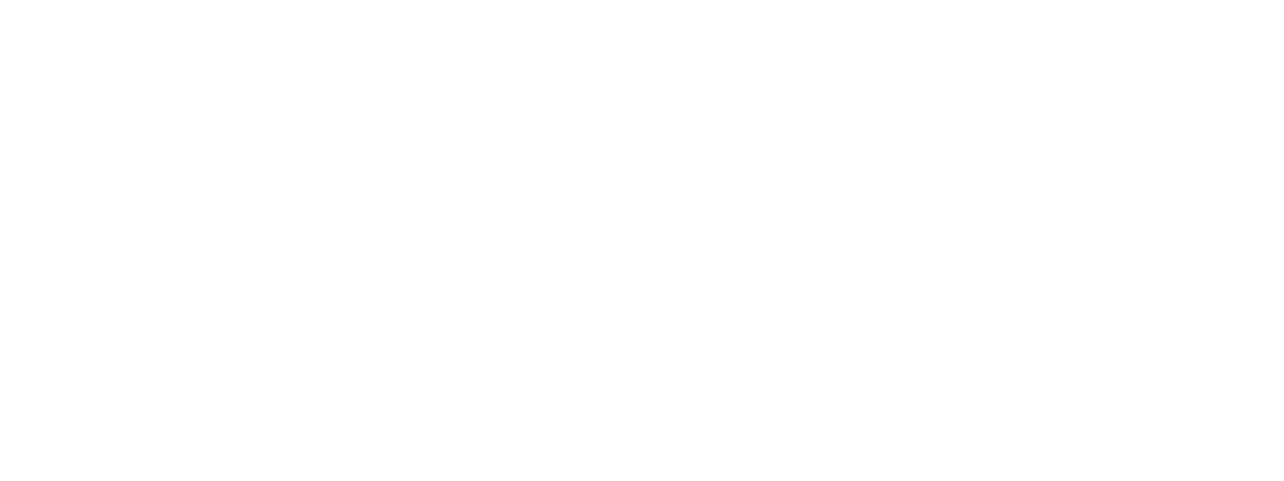 rogger gabriel navarro cespedes
