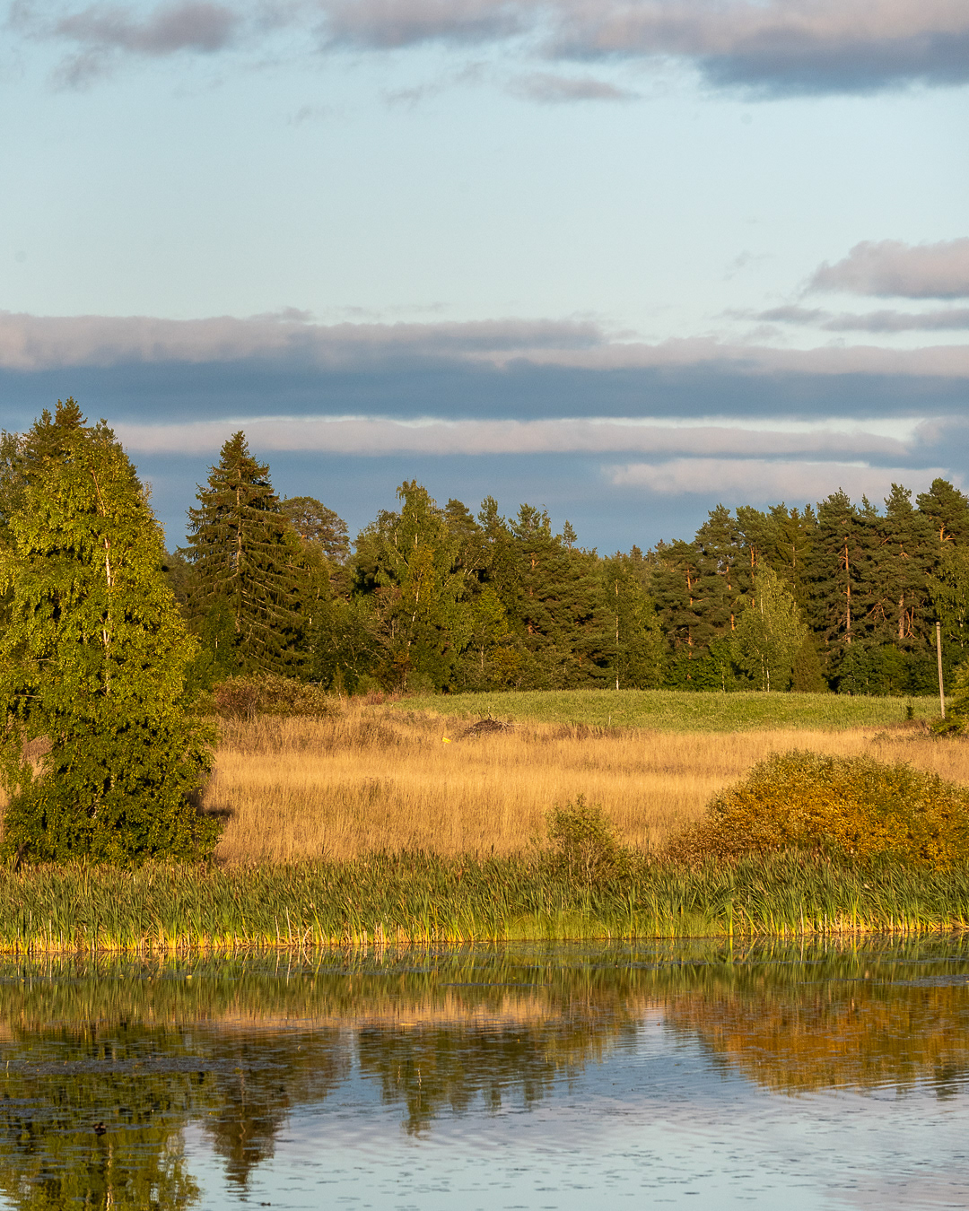 Ilmarinjärvi, Siivikkala