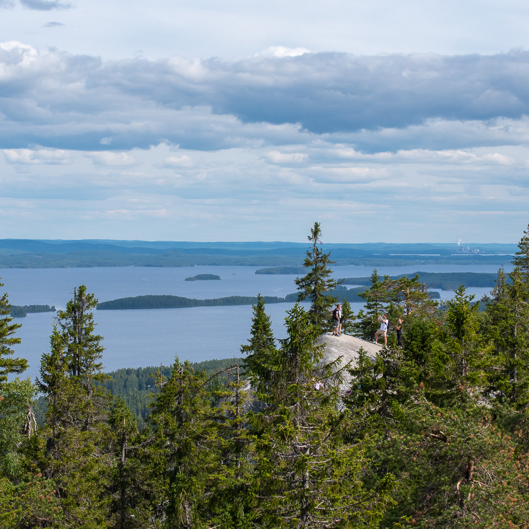 Koli