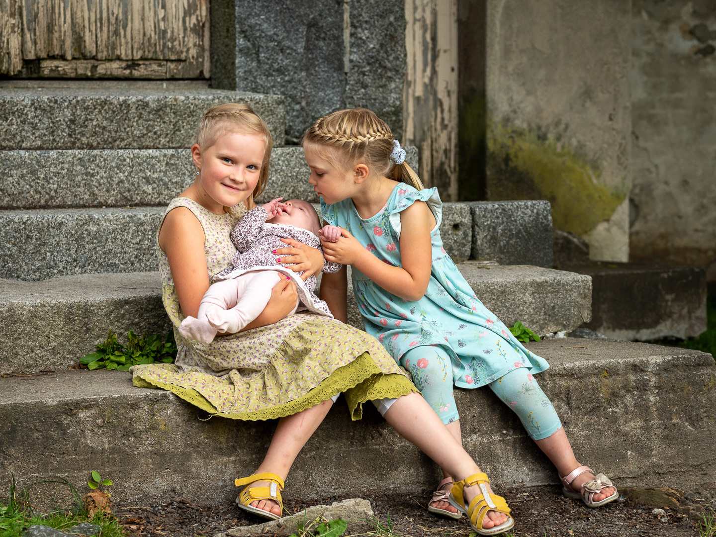 Siskokset Arboretumissa