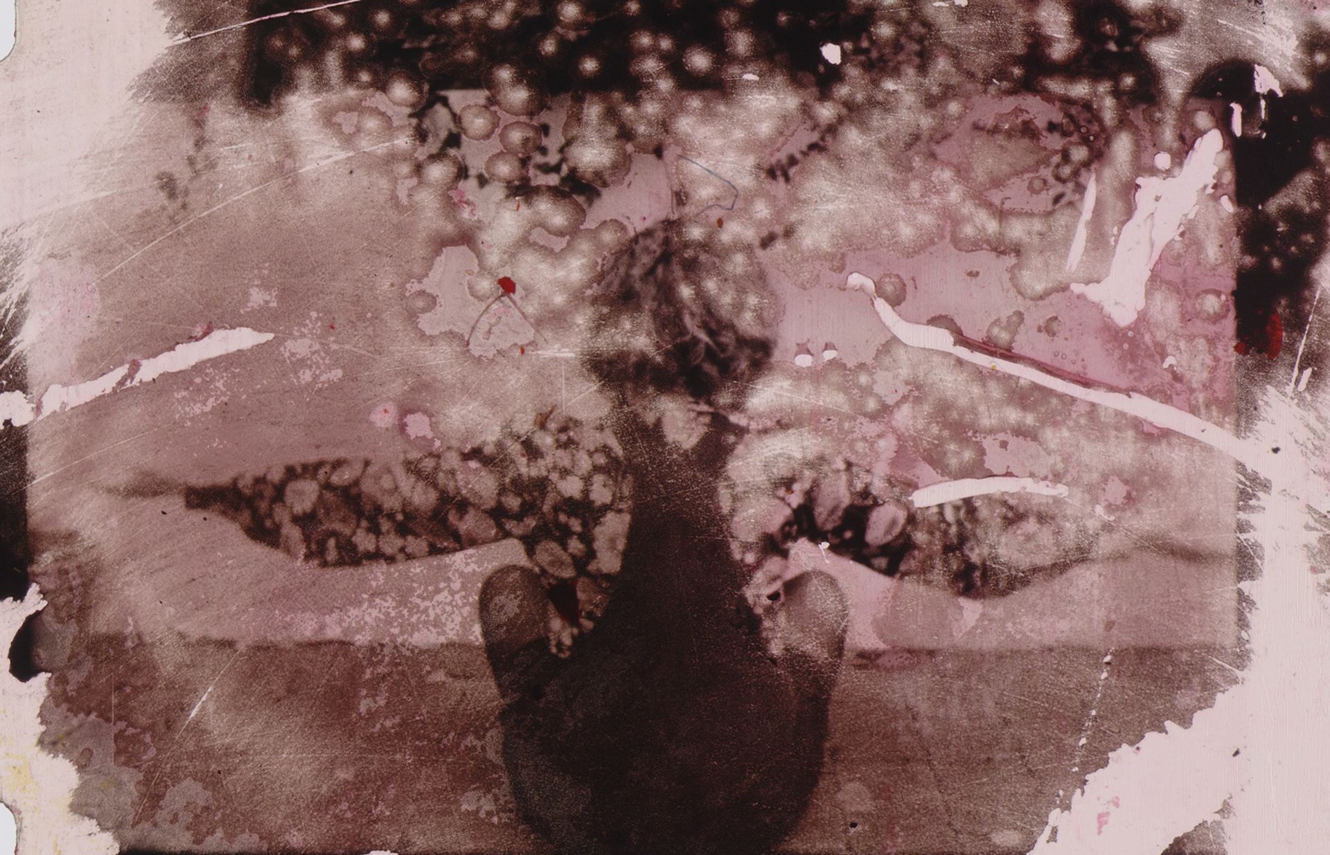 A still from the film tectum argenti by Joanna Byrne. A person sits with their back to the camera, arms outstretched to the side. The image is black and white with a pale pink tint. Heavy scratchy processing marks on the film overlay the image.