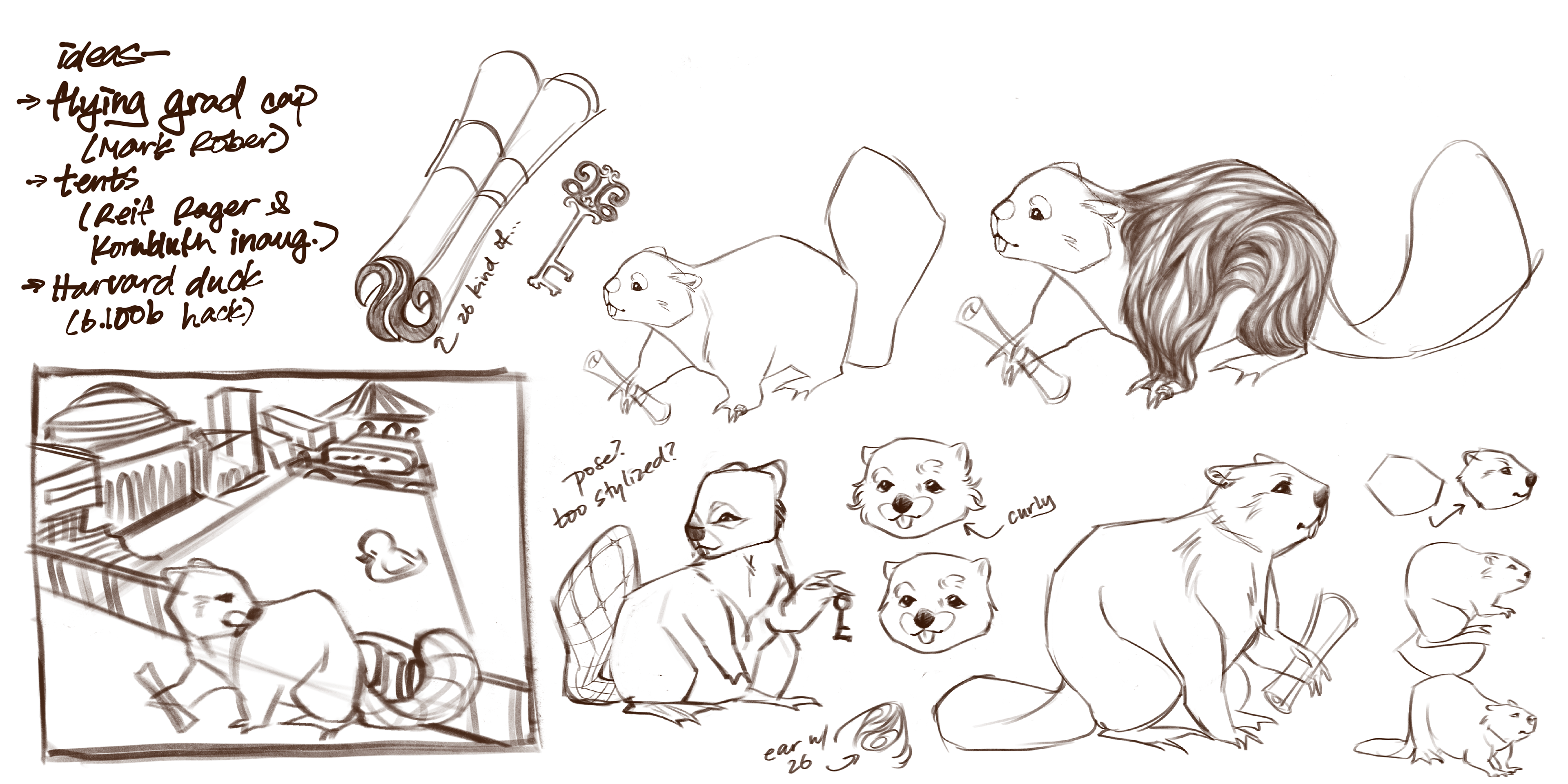 bezel sketches