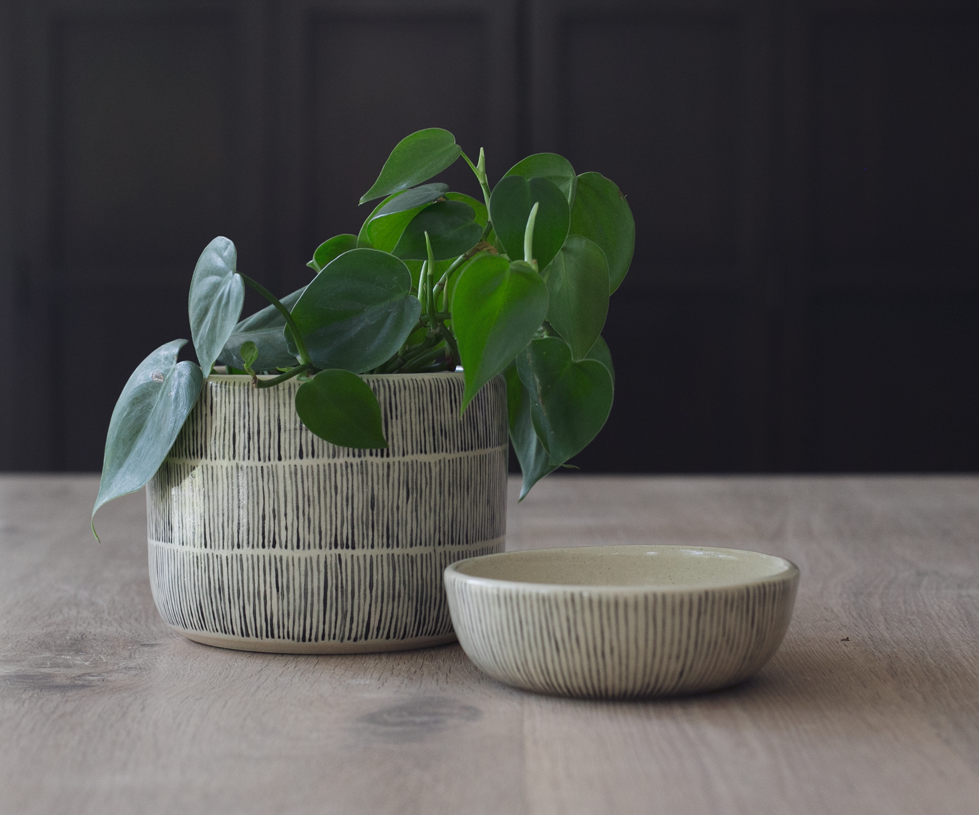 Planter with Black Stripes - $40