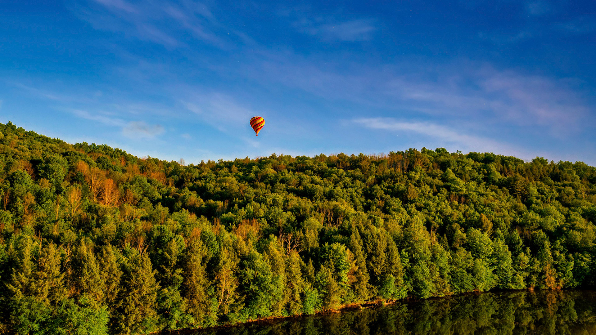 Hot air balloon over Lackawanna State Park