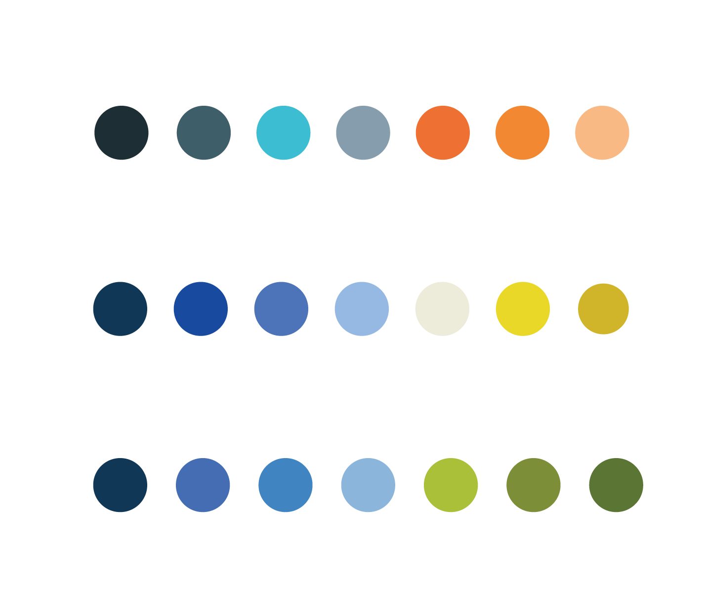 Paddle Box Co. Concept Color Schemes