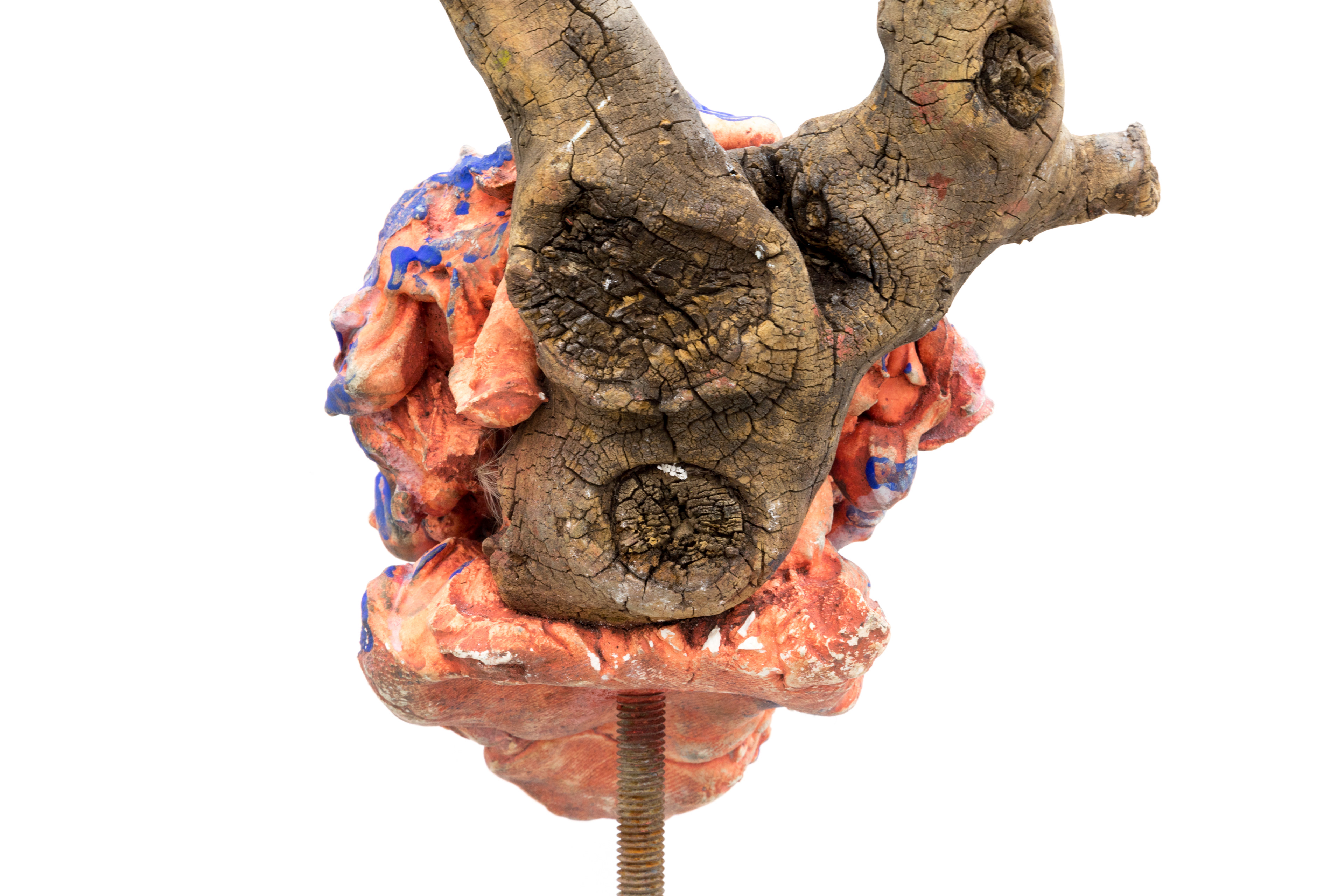 Heartbeat (quiet thrum), 2017. Hand carved plaster, seashells, chalk pastel, oil pastel, acrylic paint, secret object, wood, rebar, concrete.