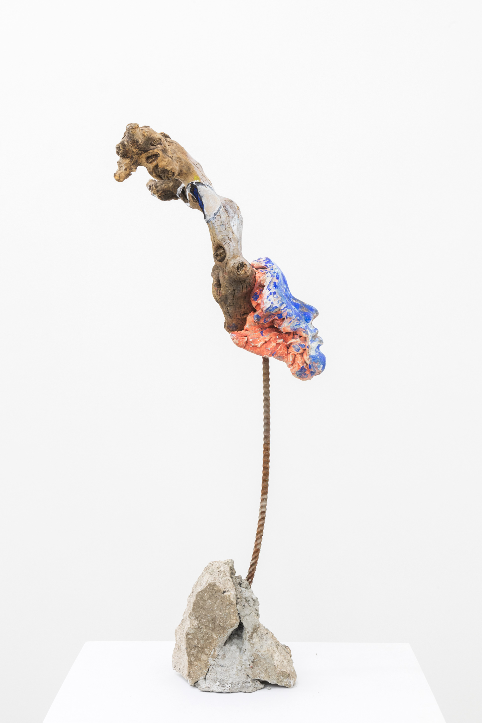 Heartbeat (quiet thrum), 2017. Hand carved plaster, seashells, chalk pastel, oil pastel, acrylic paint, secret object, wood, rebar, concrete.
