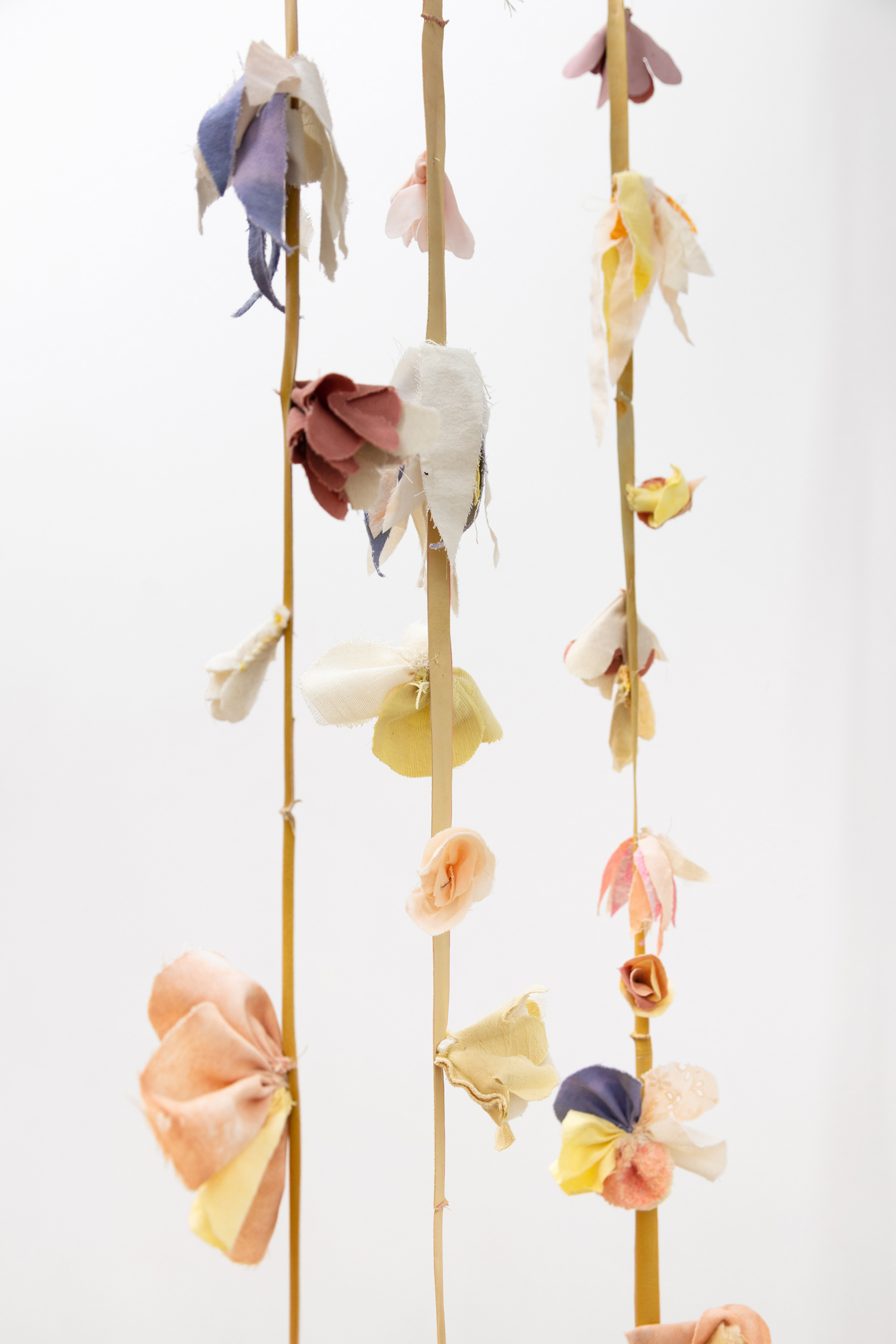 Installation view: Tau Lewis, Triumphant Alliance of the Ubiquitous Blossoms of Incarnate Souls at Cooper Cole, Toronto, Canada