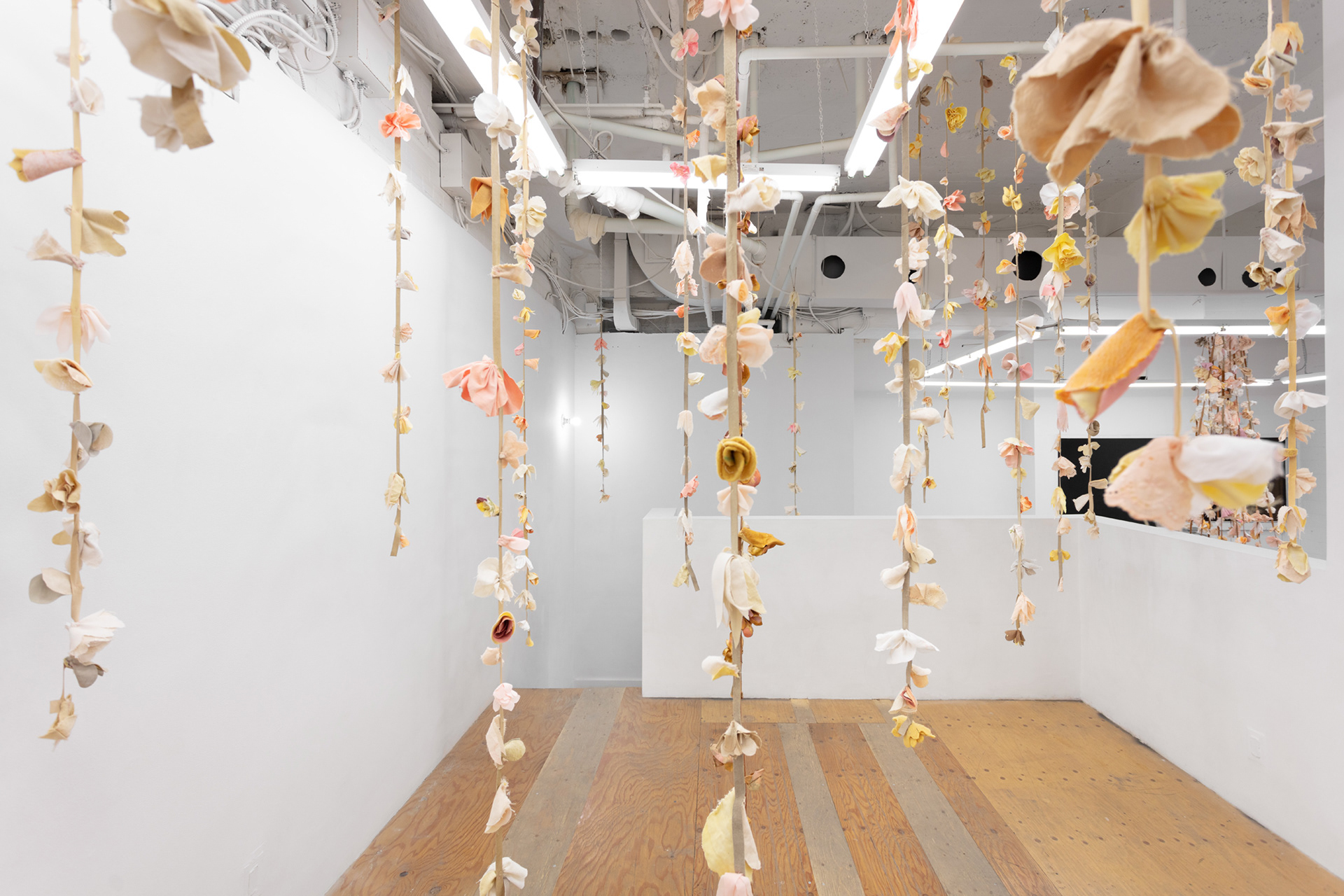 Installation view: Tau Lewis, Triumphant Alliance of the Ubiquitous Blossoms of Incarnate Souls at Cooper Cole, Toronto, Canada