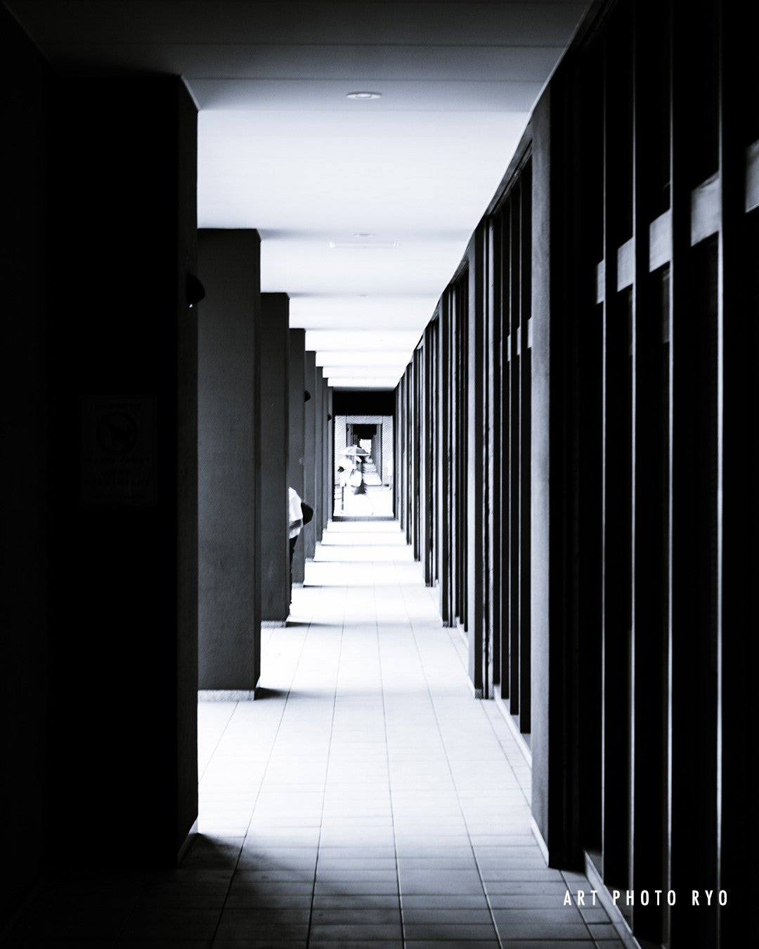 中之島、大阪、2024