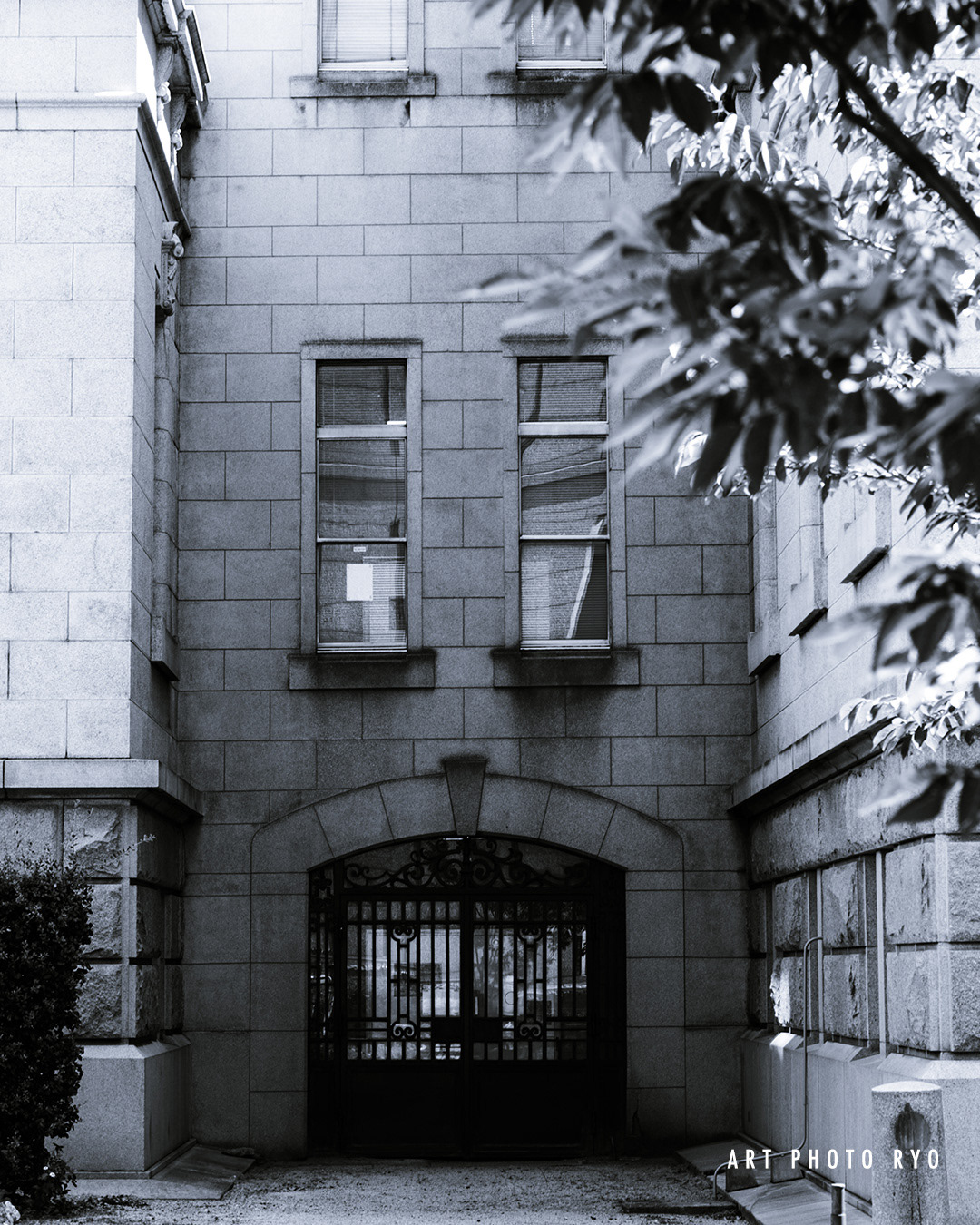 中之島、大阪、2024