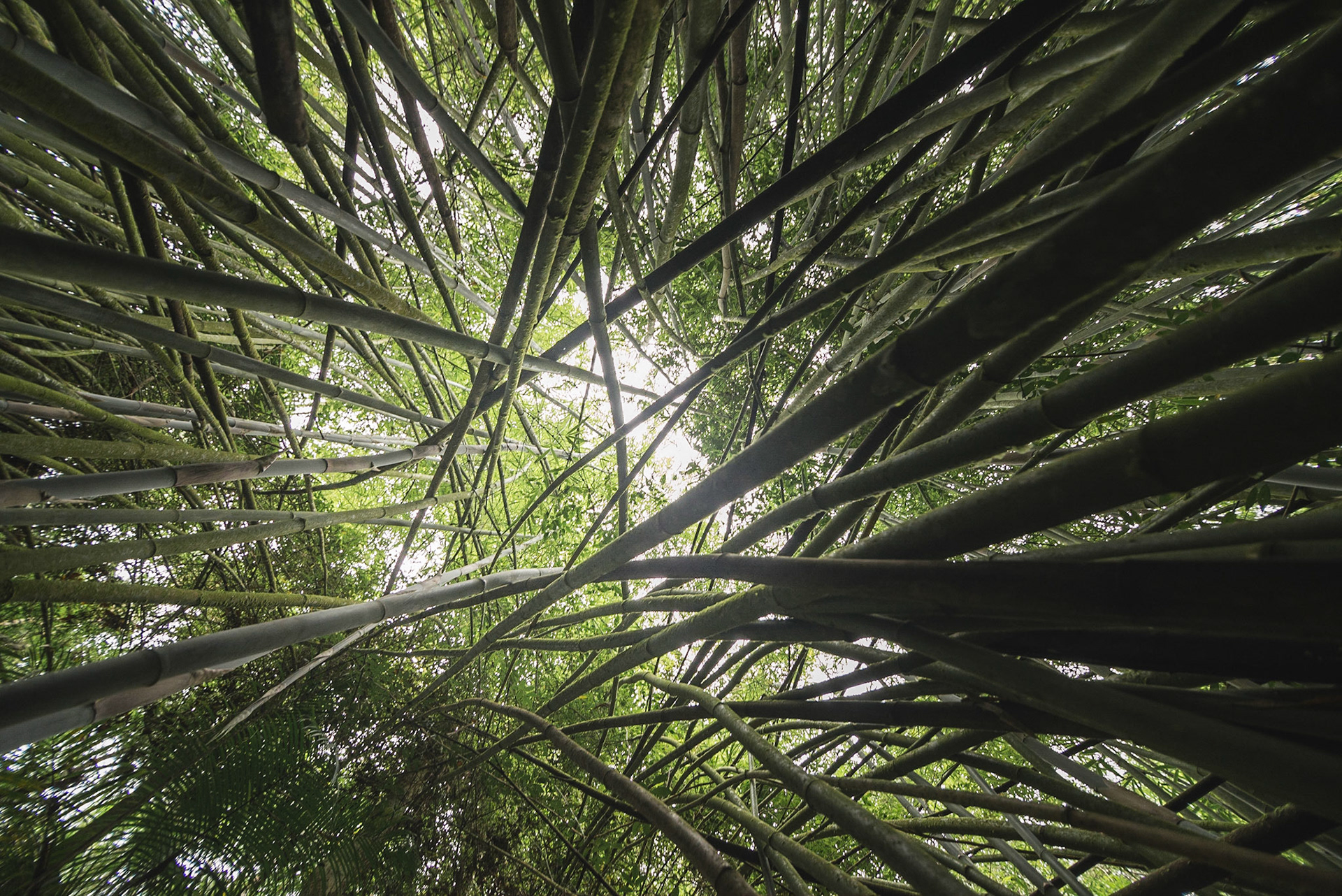 Manhumirim, Minas Gerais, Brasil, 2015