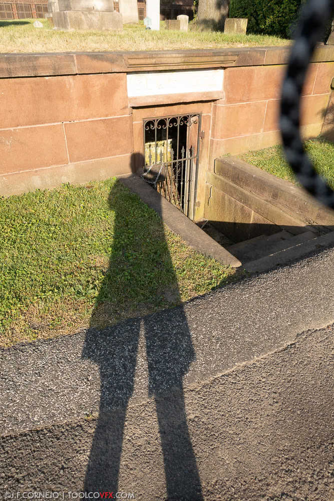 Self Portrait