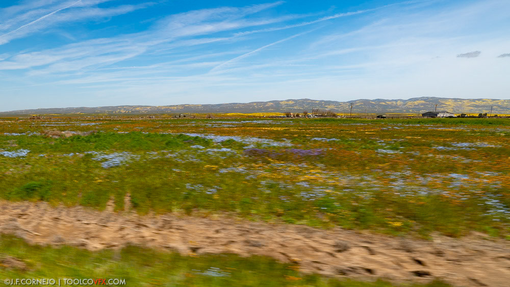 Carrizo Plain, CA