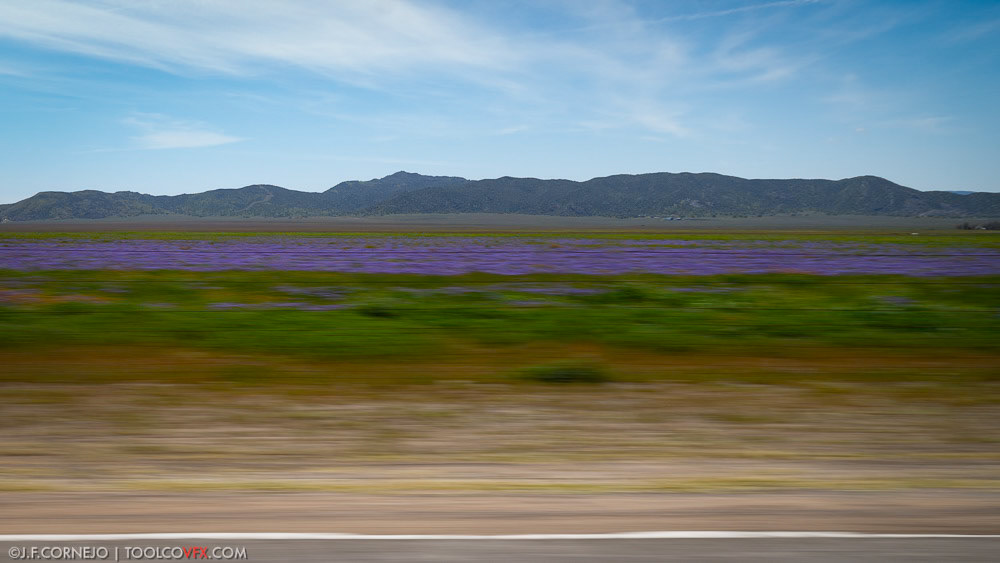 Carrizo Plain, CA