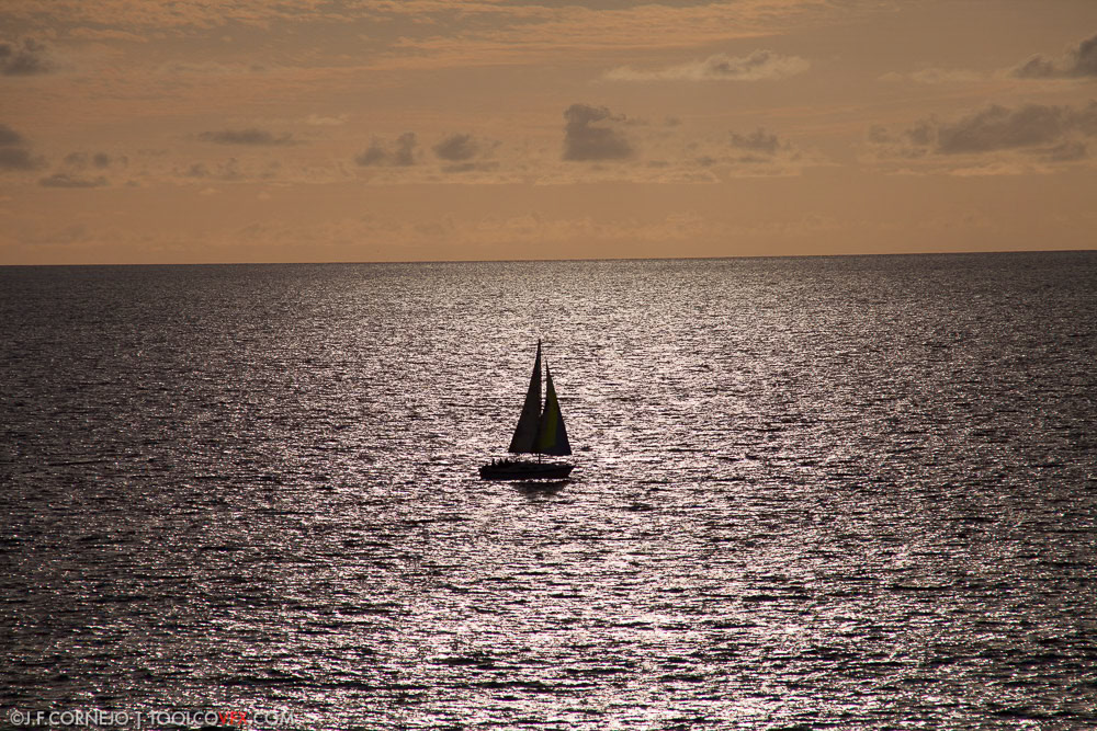 Playa del Rey Sailboat
