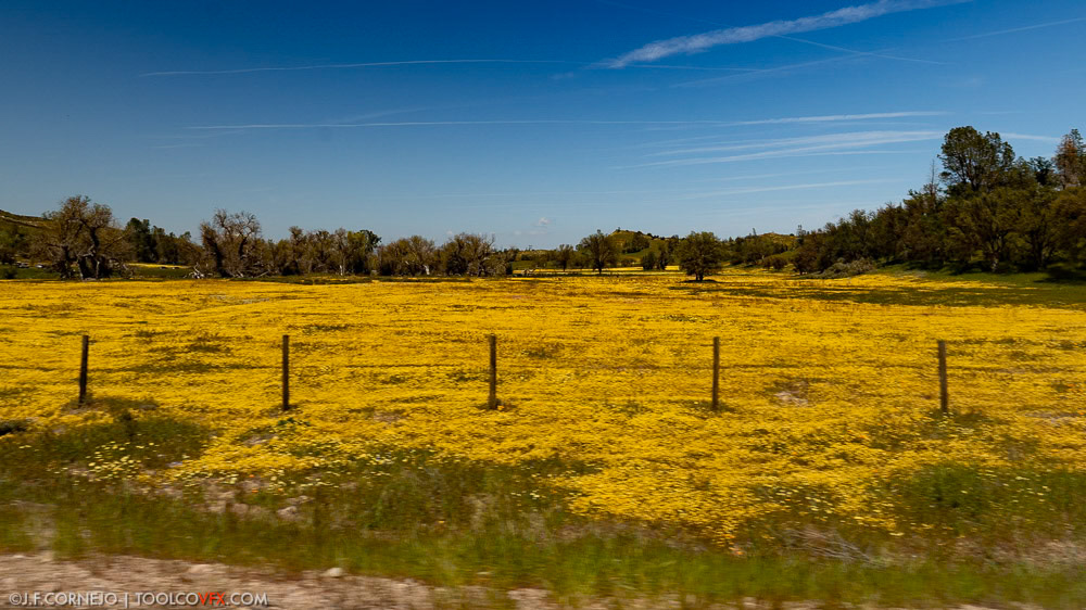Carrizo Plain, CA