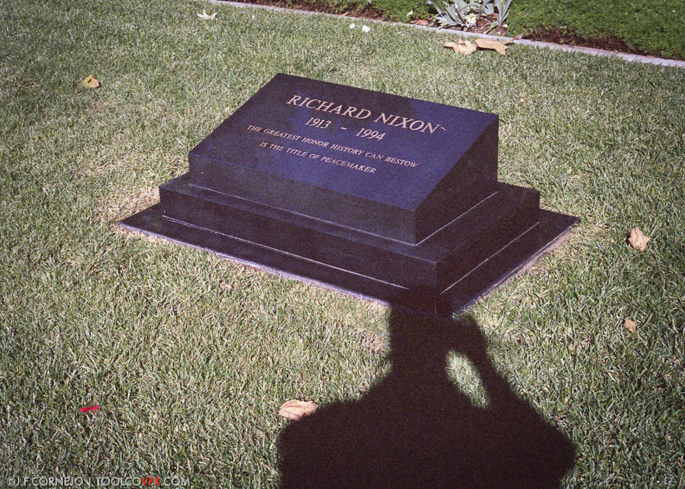 Self Portrait with Nixon