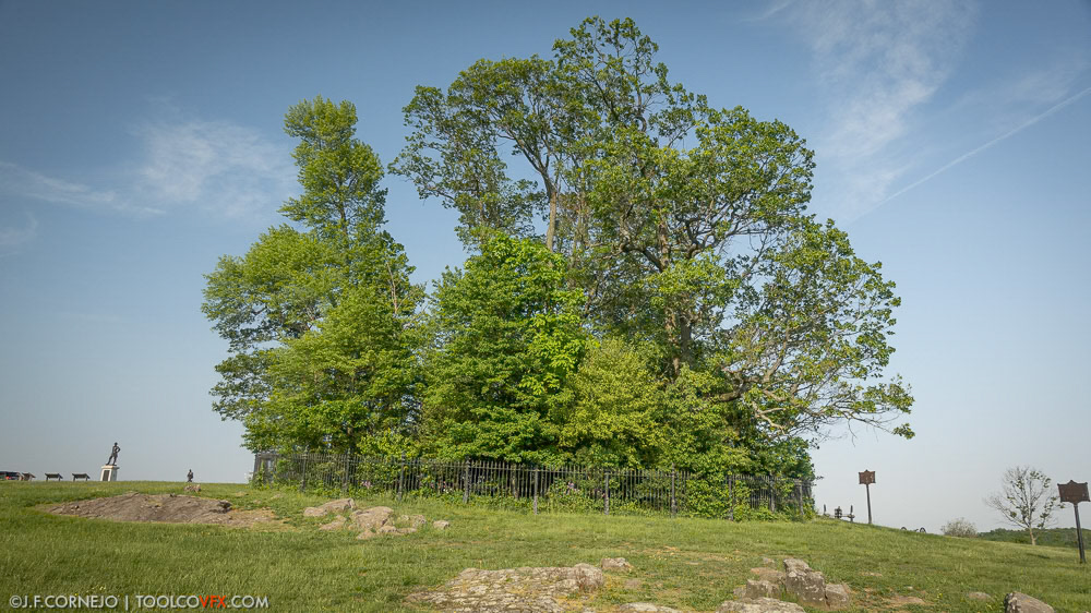 Copse of Trees, Gettysburg